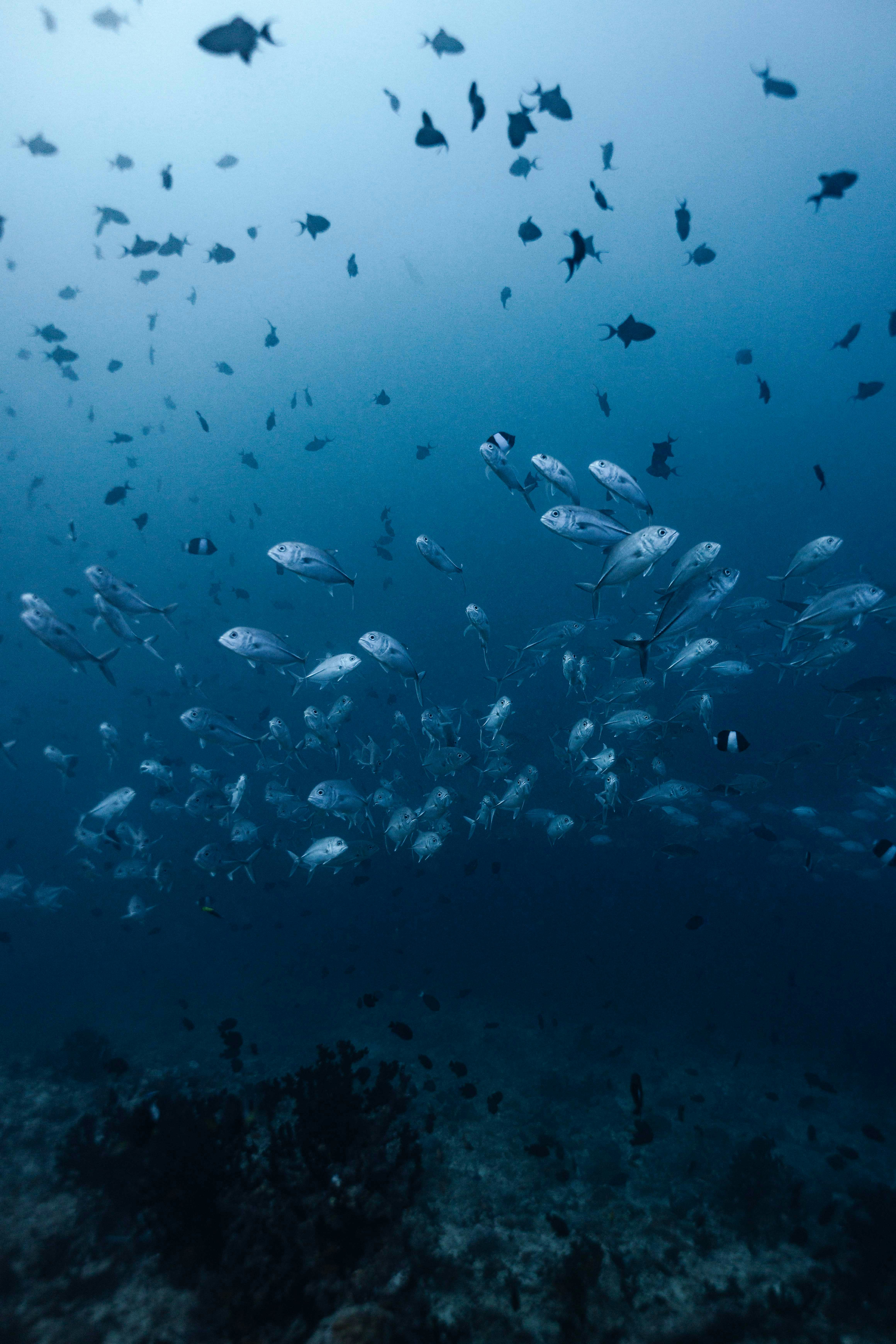 Photo by maahidphotos