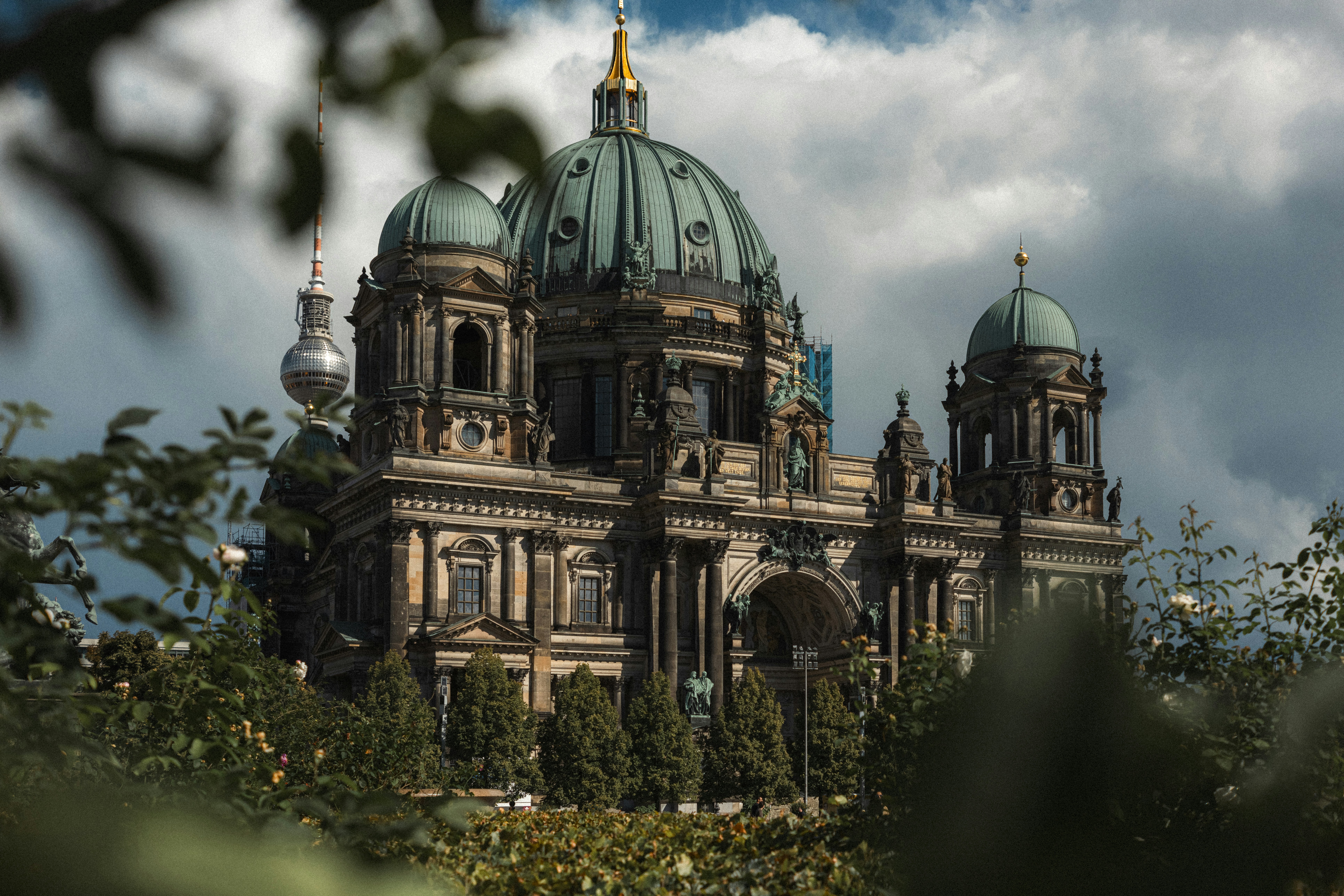 Photo by throughalekslens