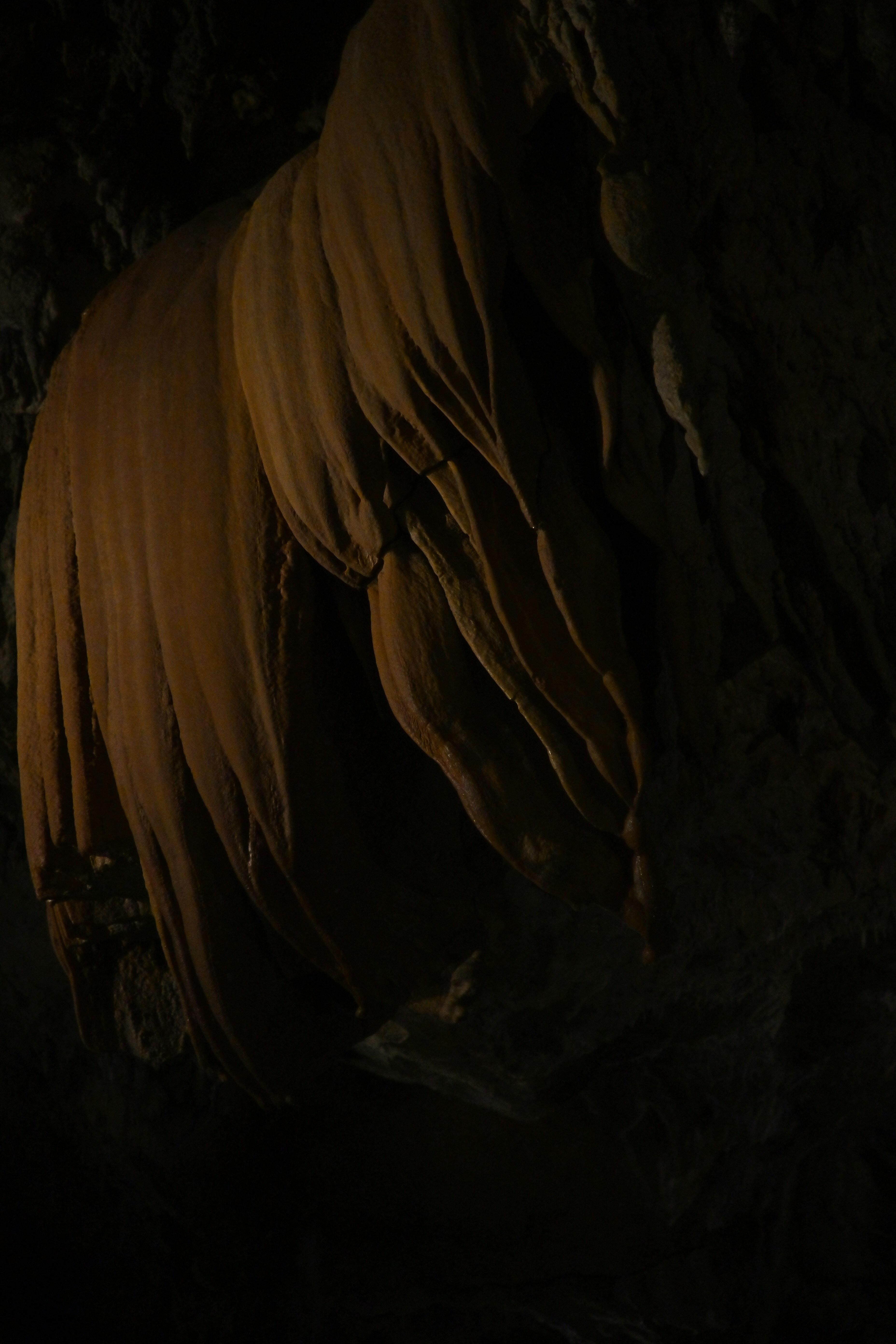 Photo by million_chopsticks