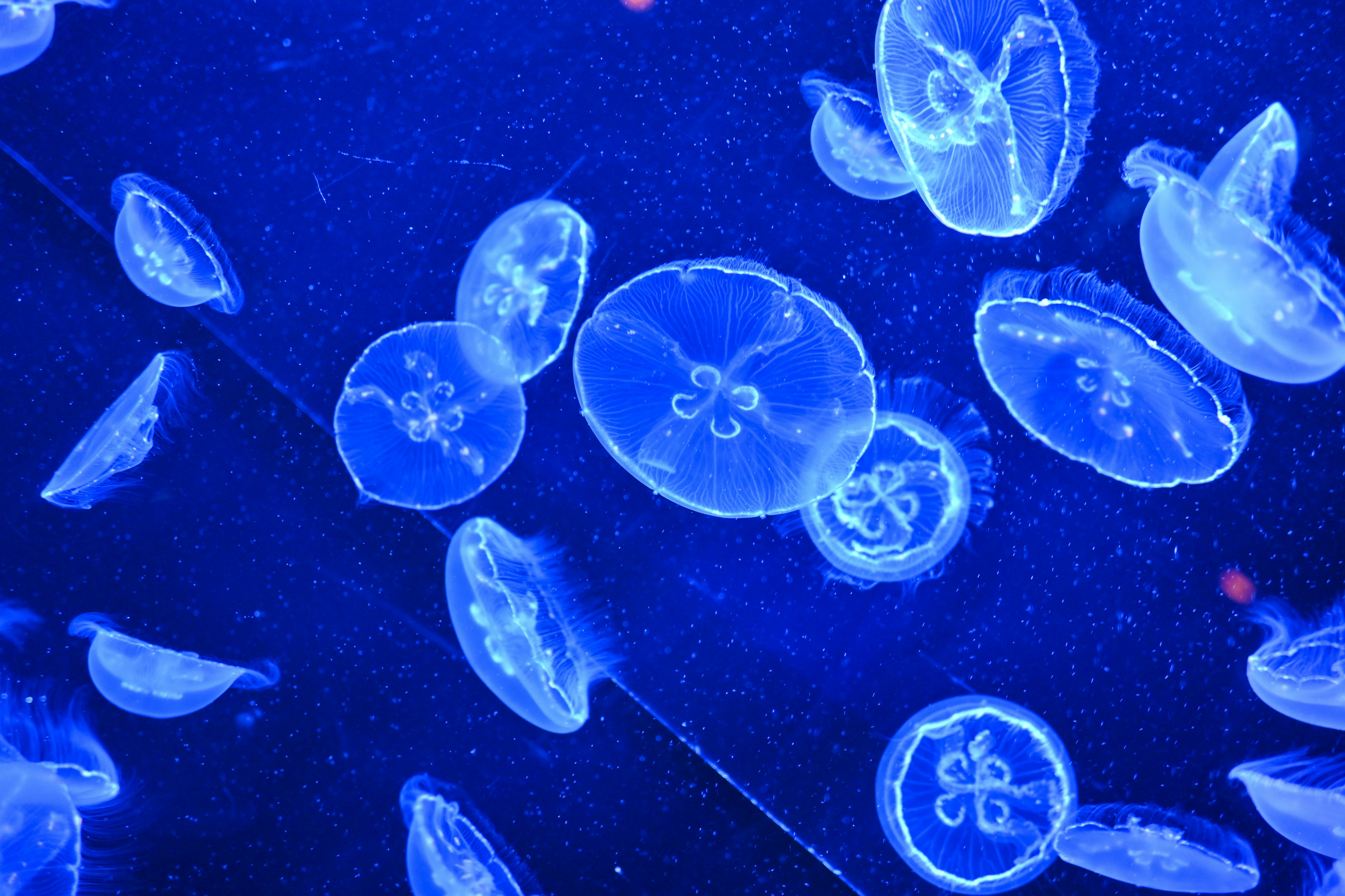 Photo by million_chopsticks