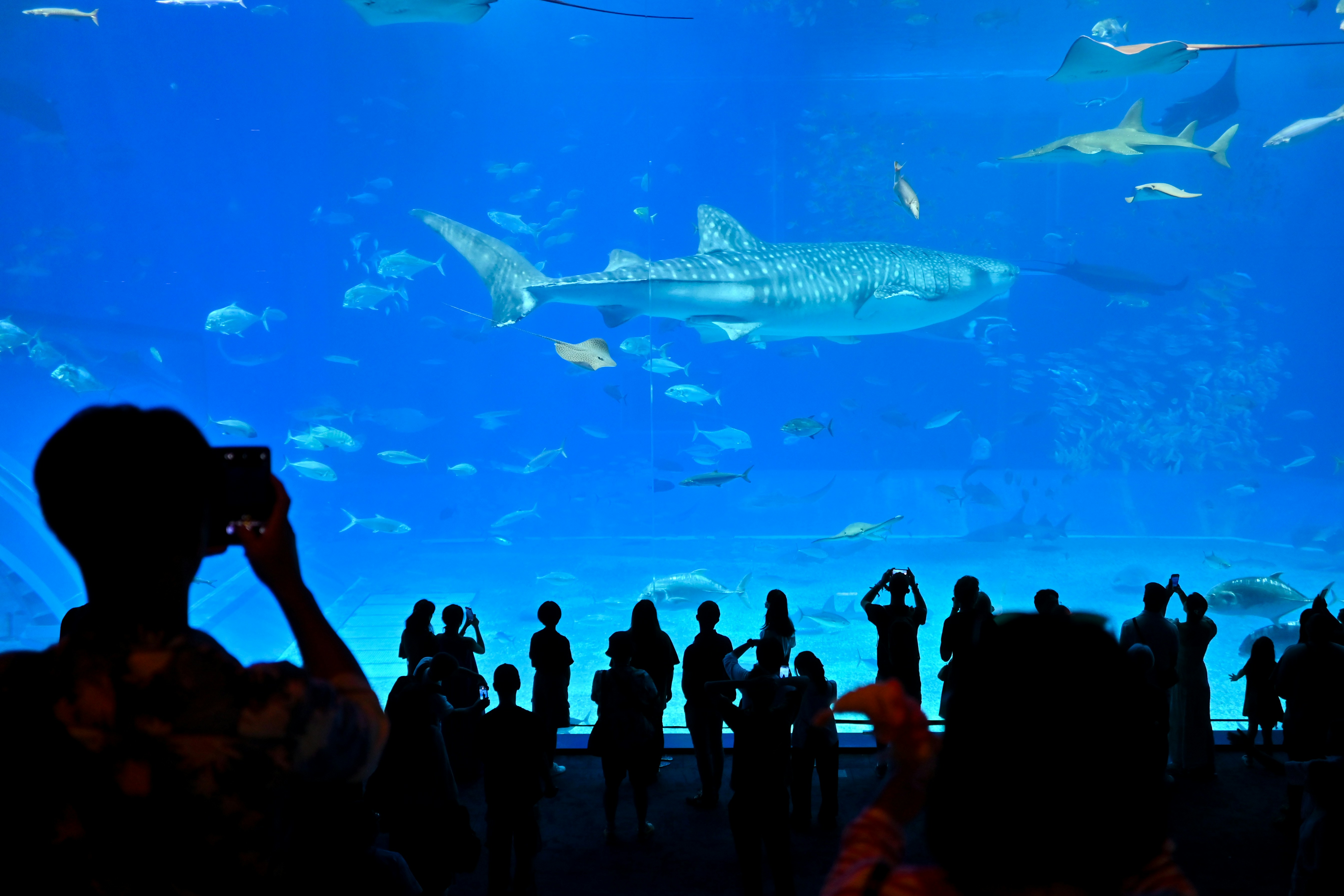 Photo by million_chopsticks