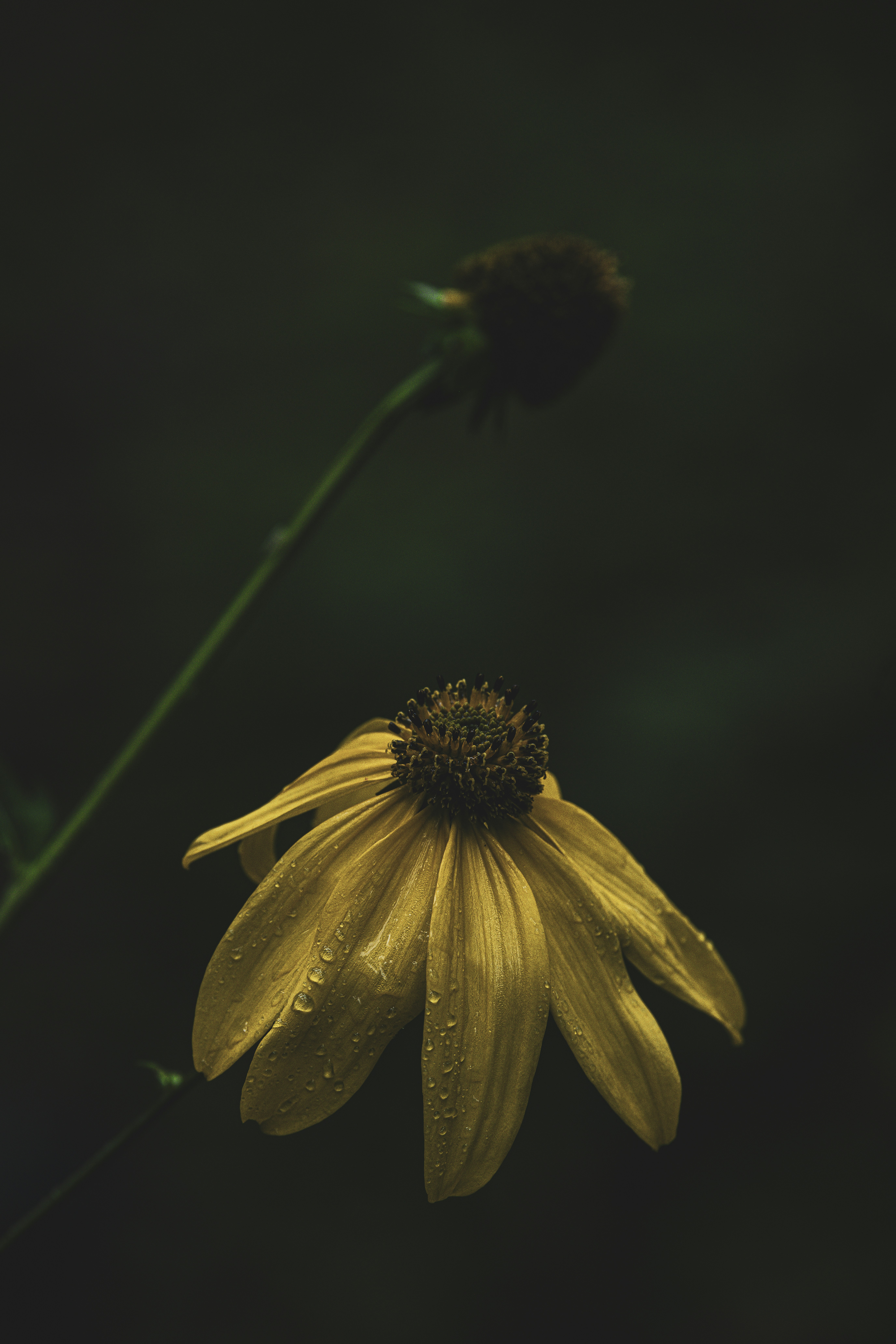 Photo by jonmsailer