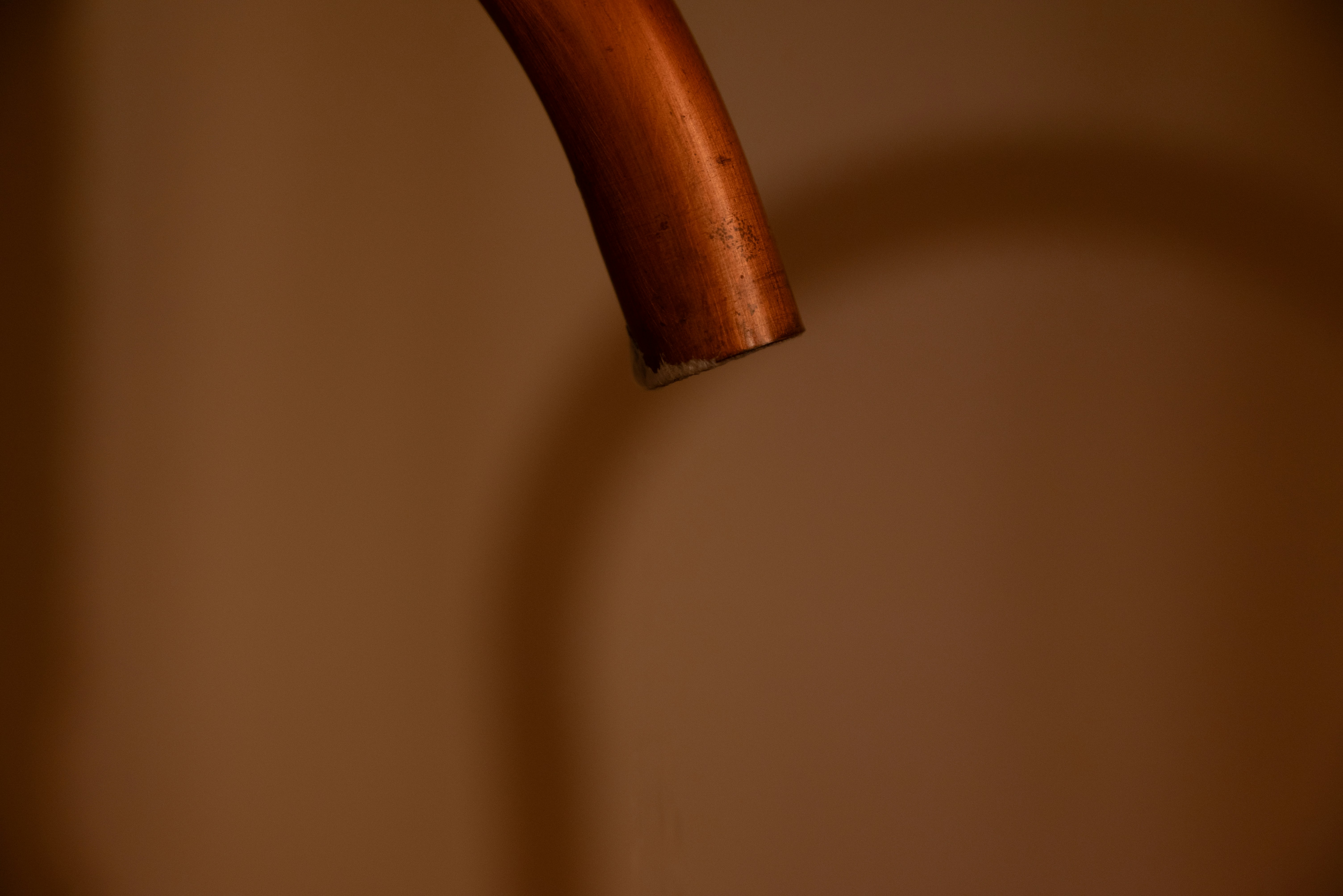 Photo by savvas_sourmaidis