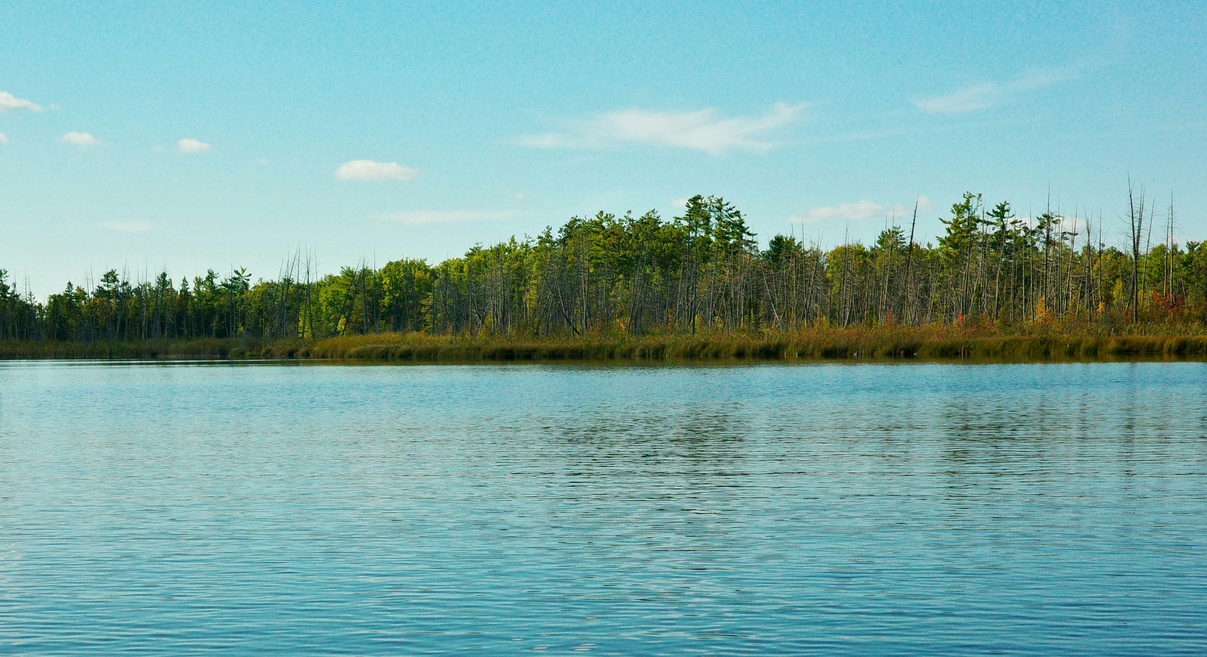 Photo by findway_jerry