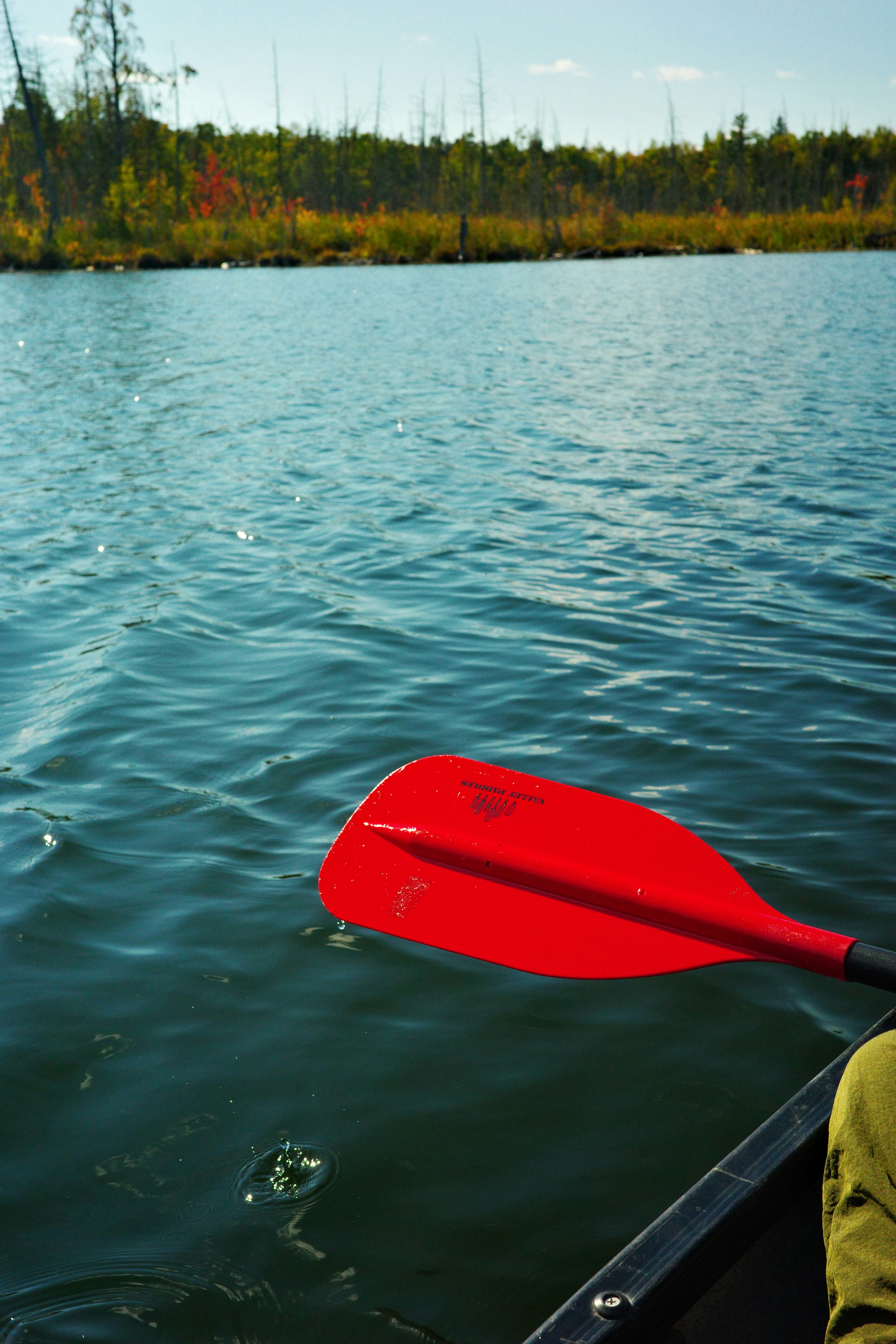 Photo by findway_jerry