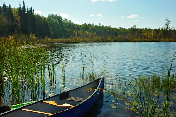 Canoe Buying Guide: Hull Material, Solo vs Tandem, and Best Canoes 2026