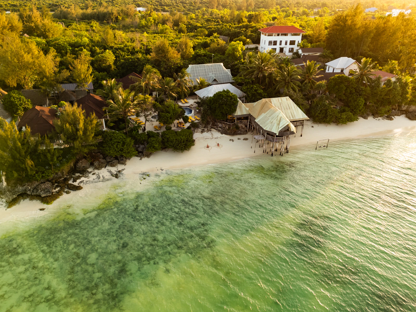 Playa tropical de Zanzíbar rodeada de agua turquesa y vegetación