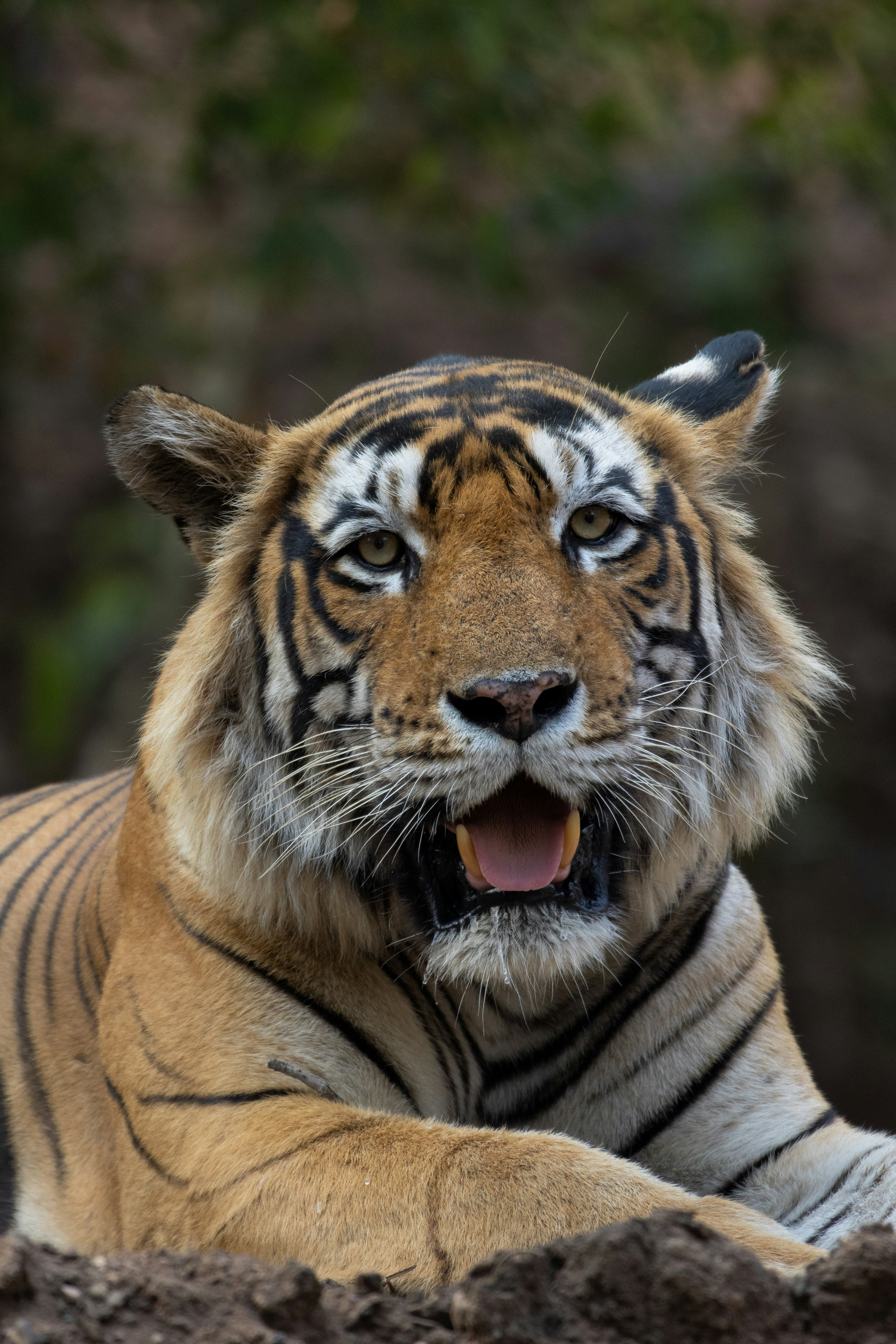 Photo by aryatulsyan