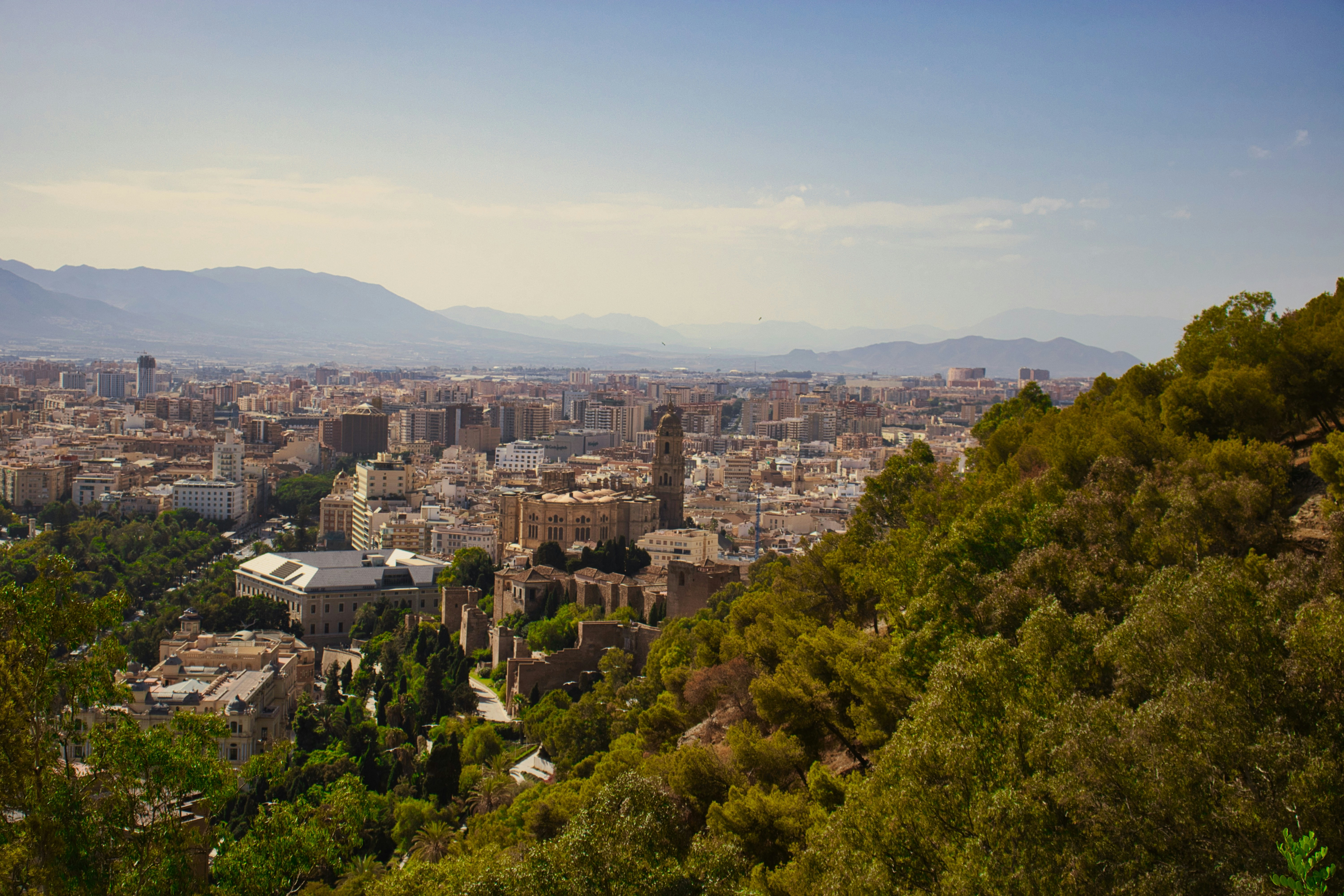 Photo by paws_and_prints