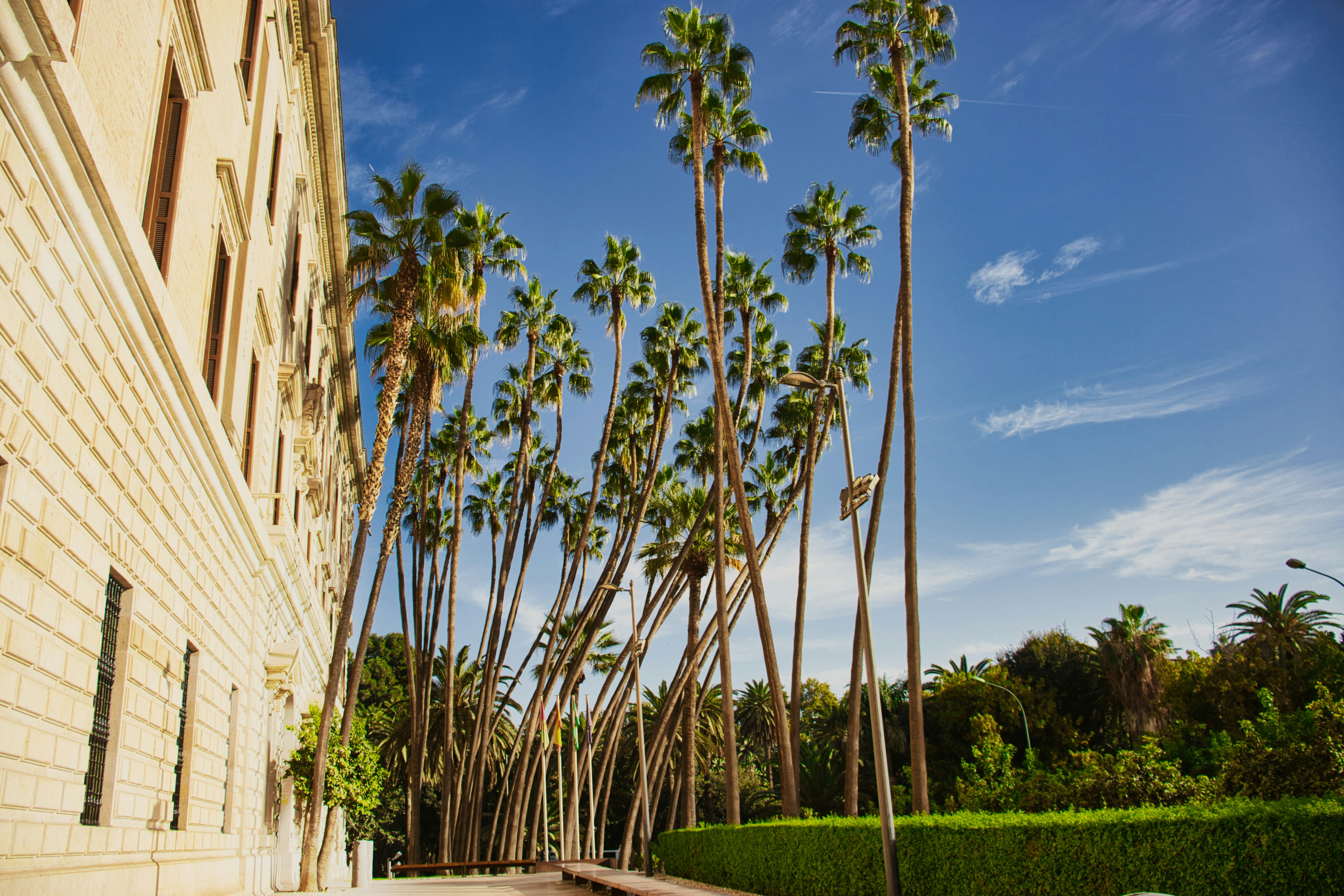 Photo by paws_and_prints