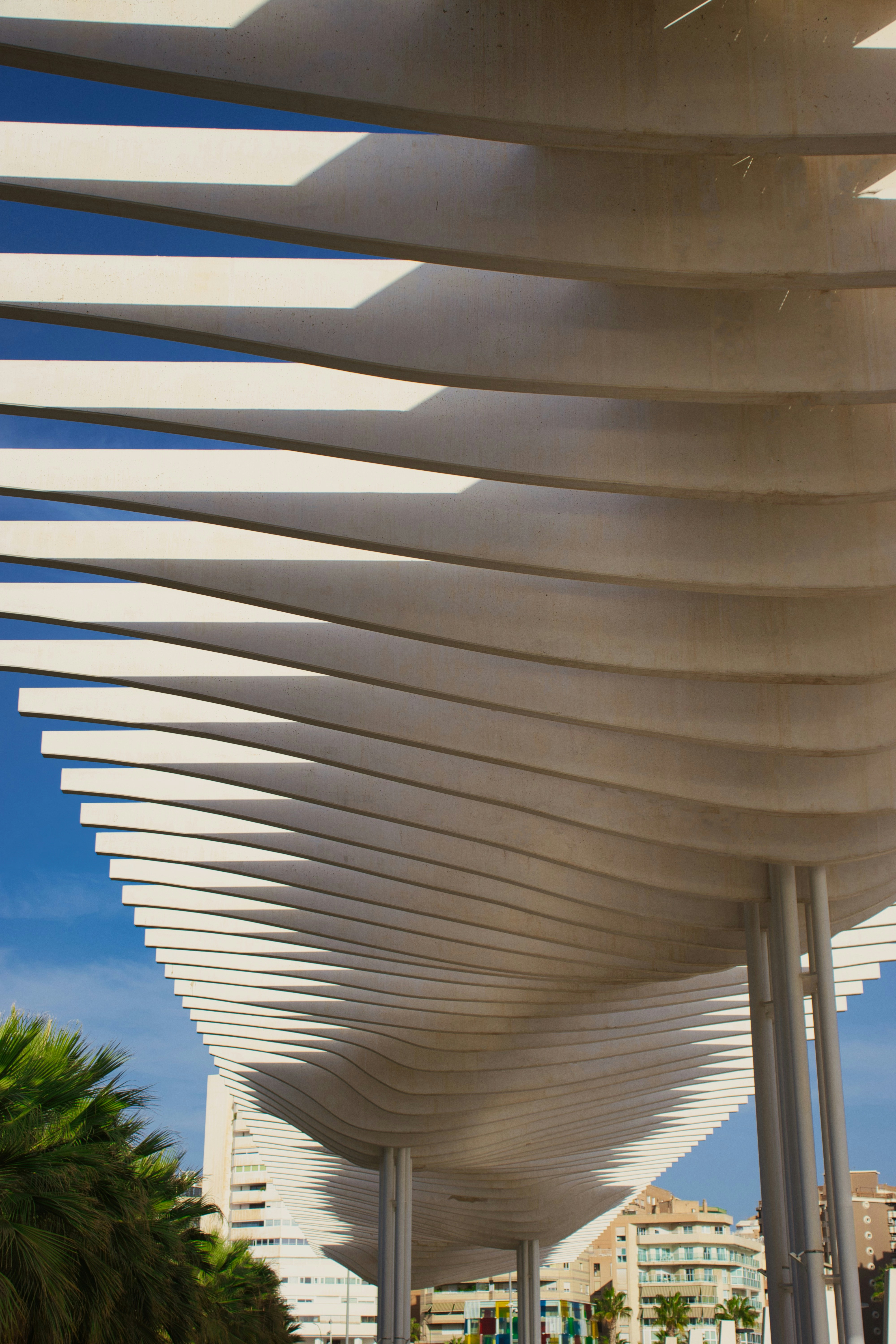 Photo by paws_and_prints