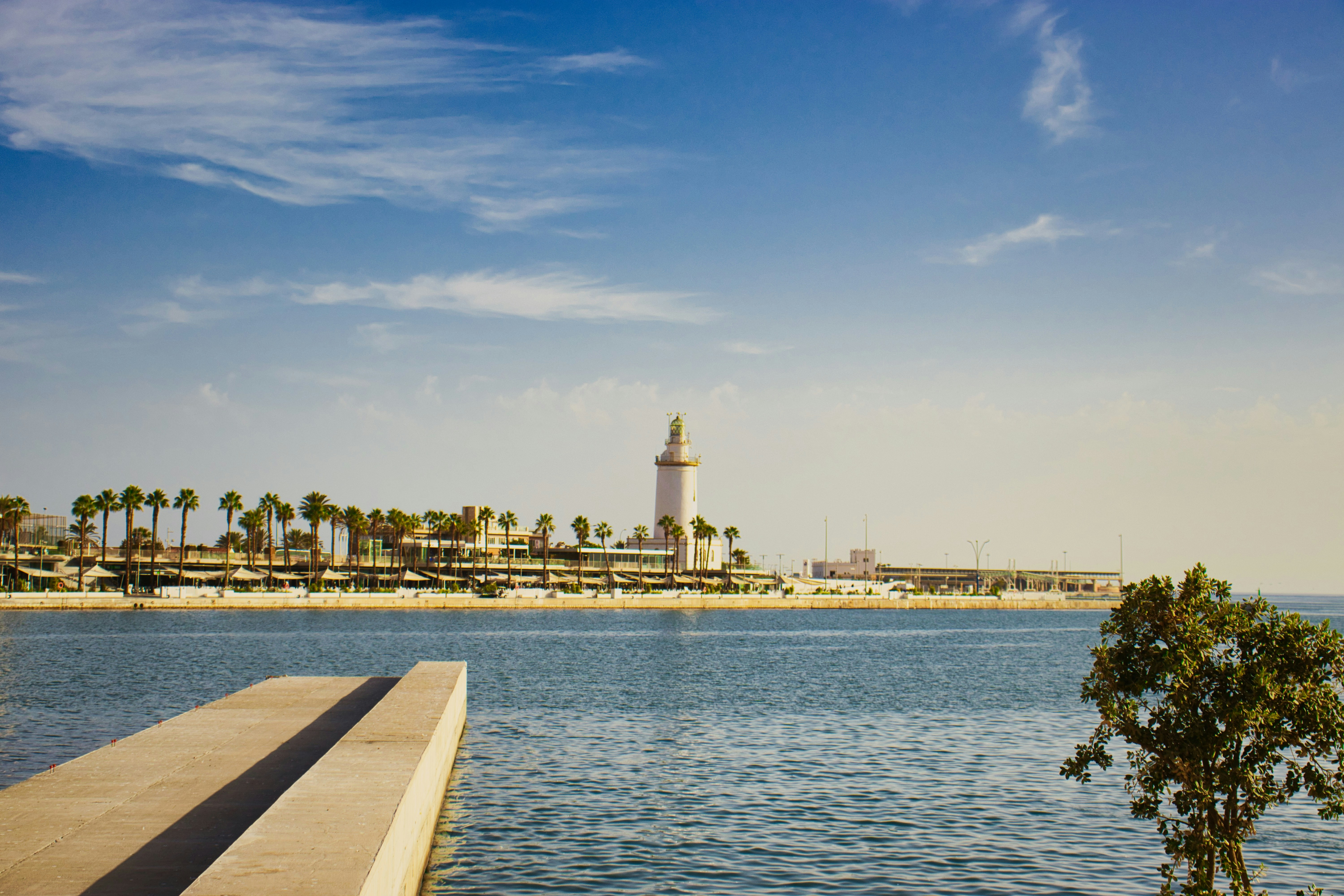 Photo by paws_and_prints