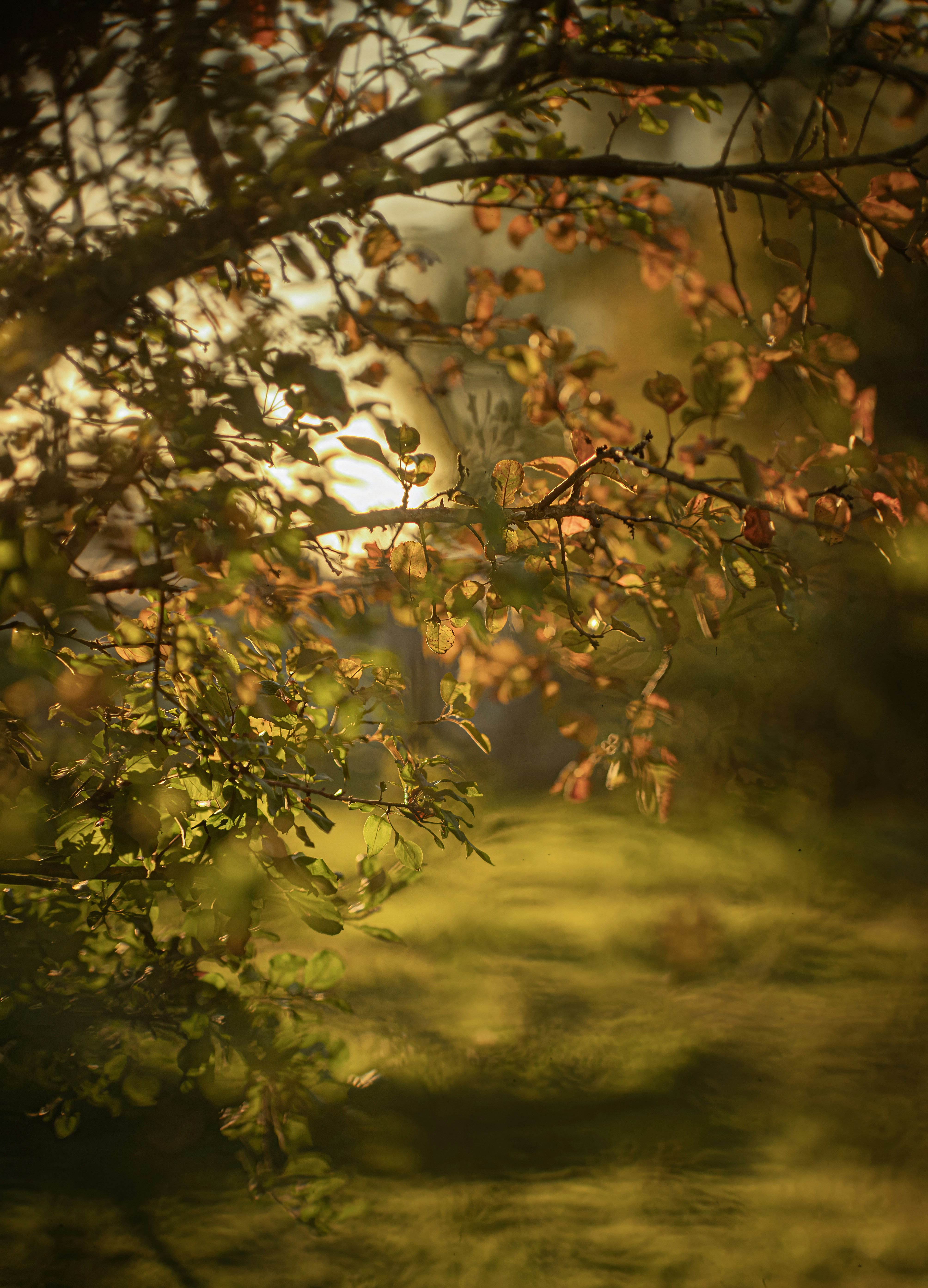 Photo by andrilliardbond