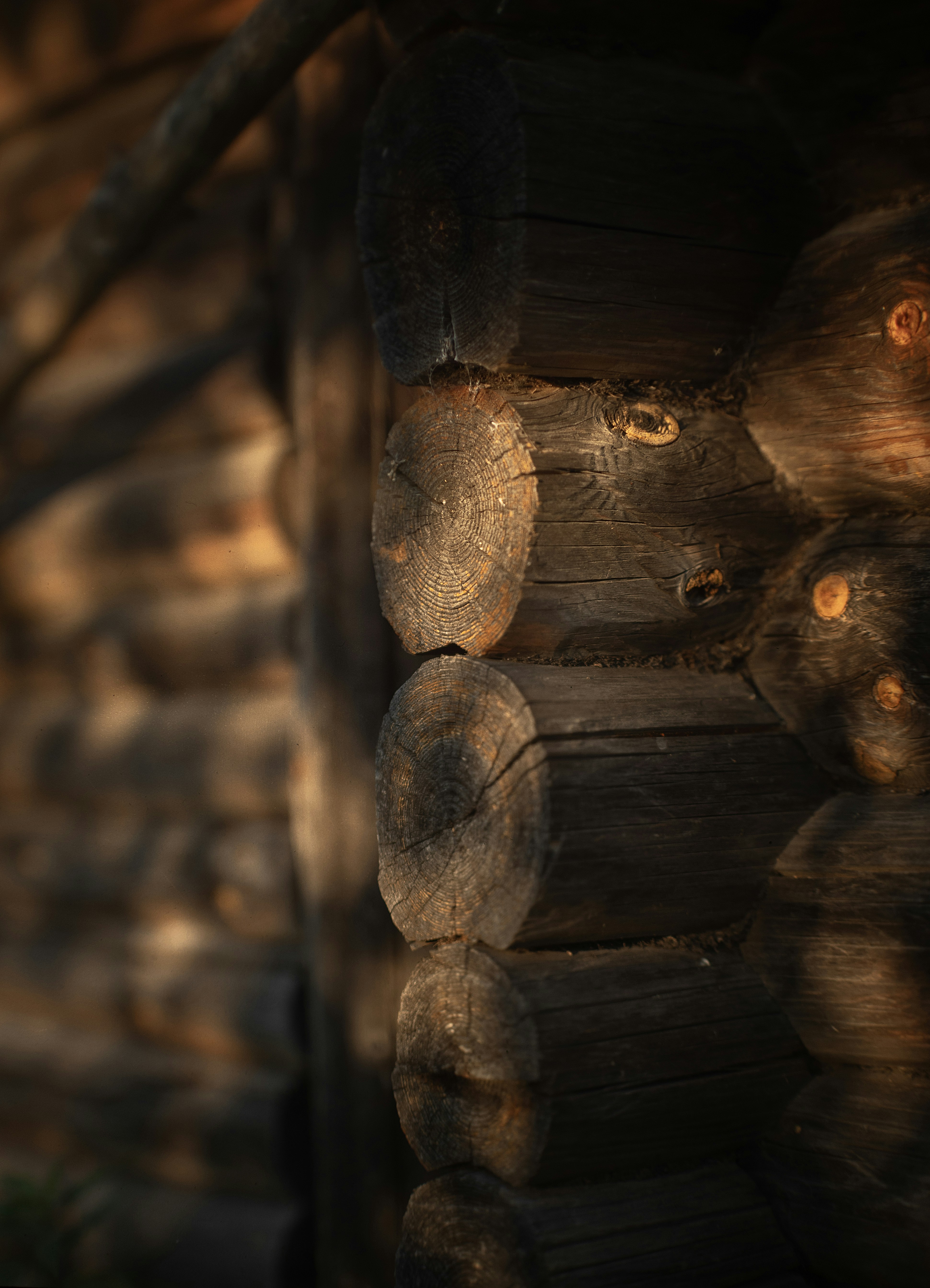 Photo by andrilliardbond