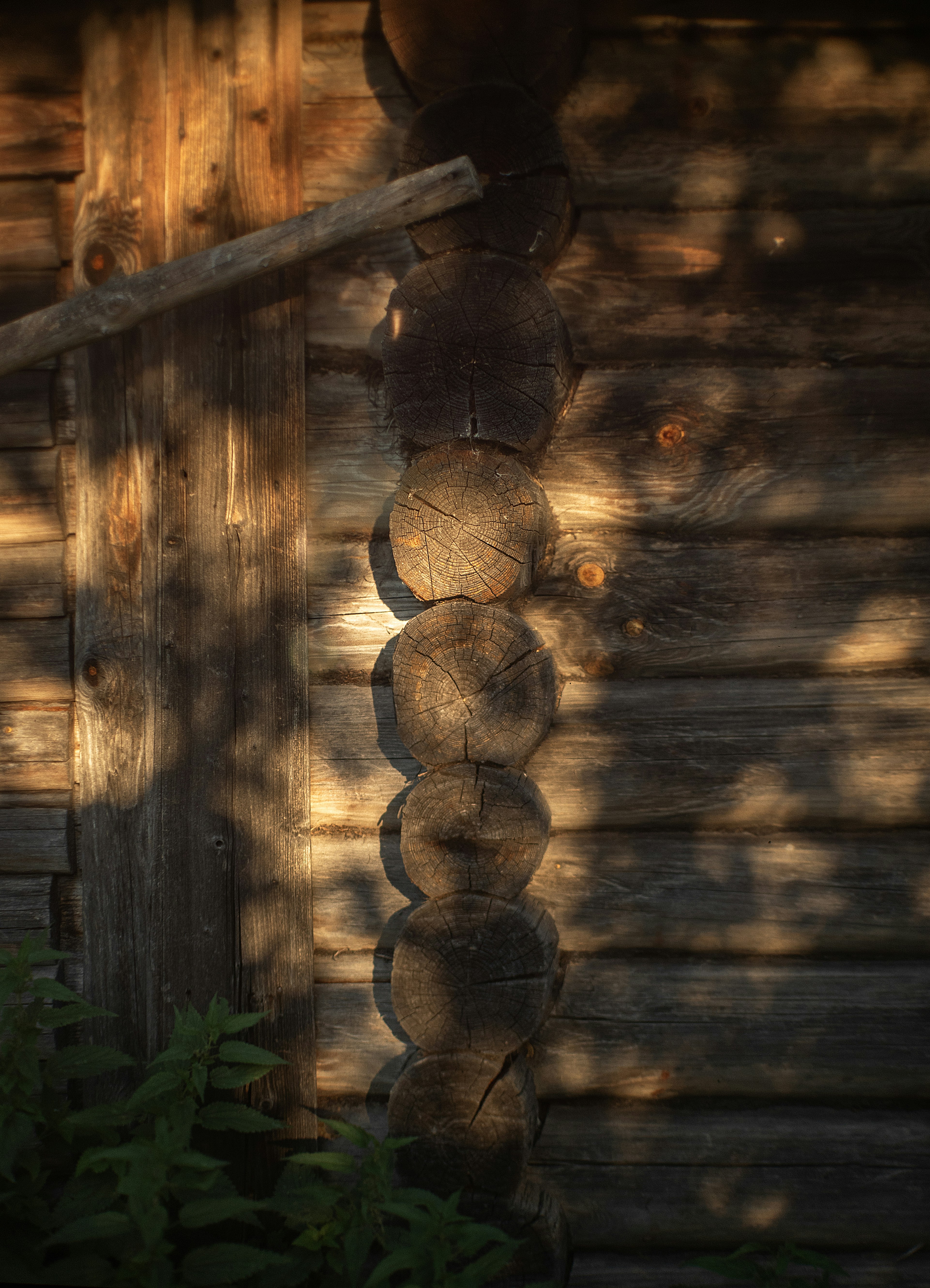 Photo by andrilliardbond