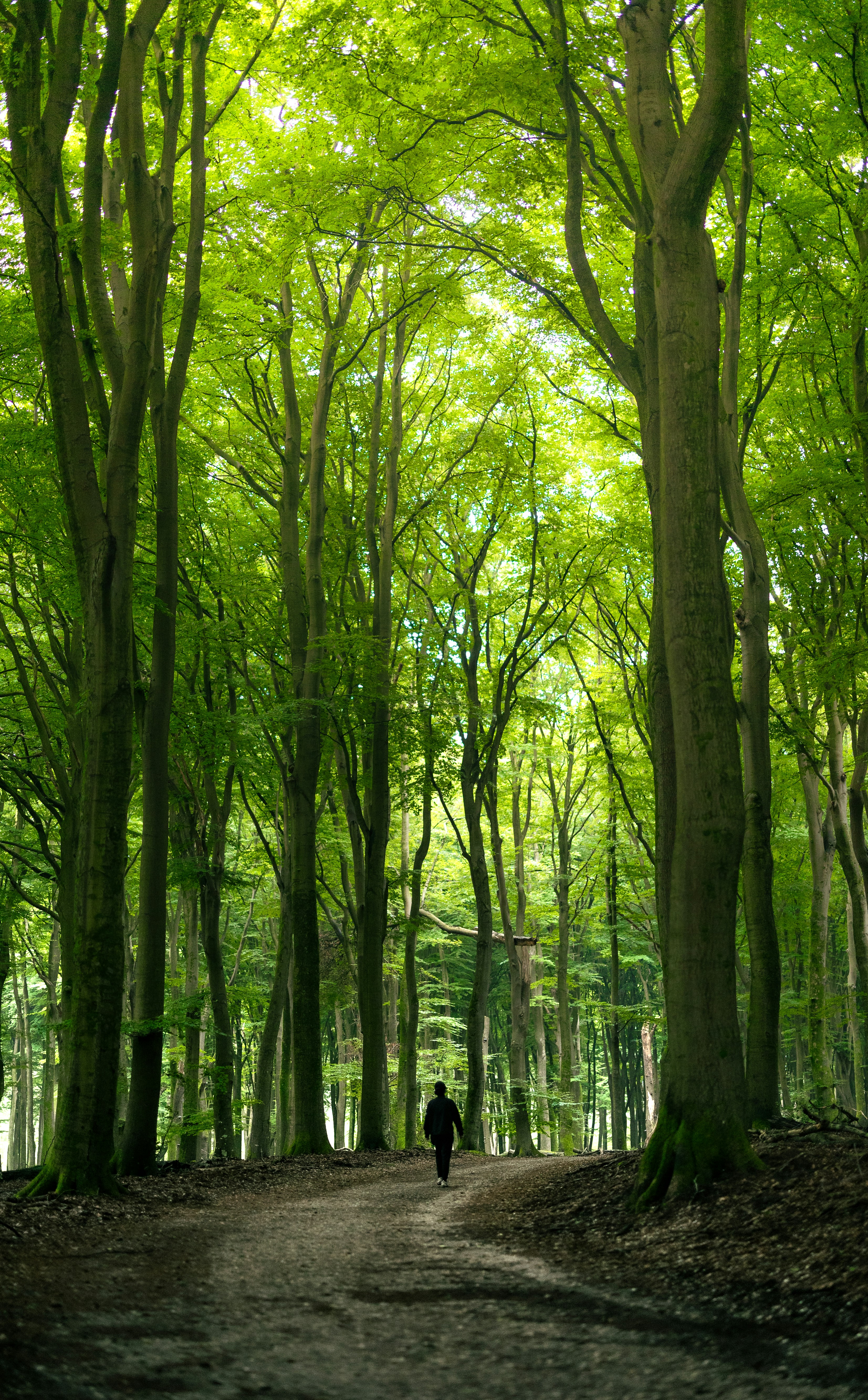 Photo by marekpiwnicki