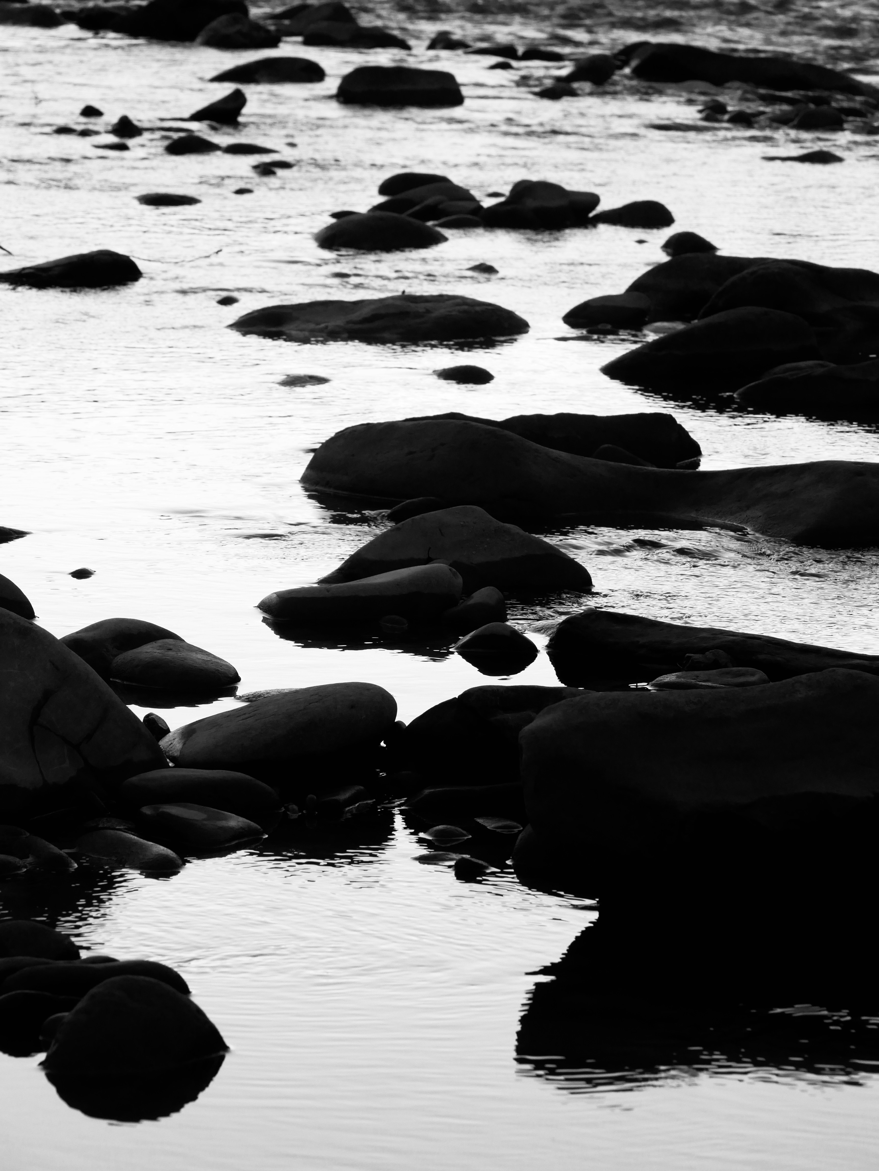 Photo by krixpas