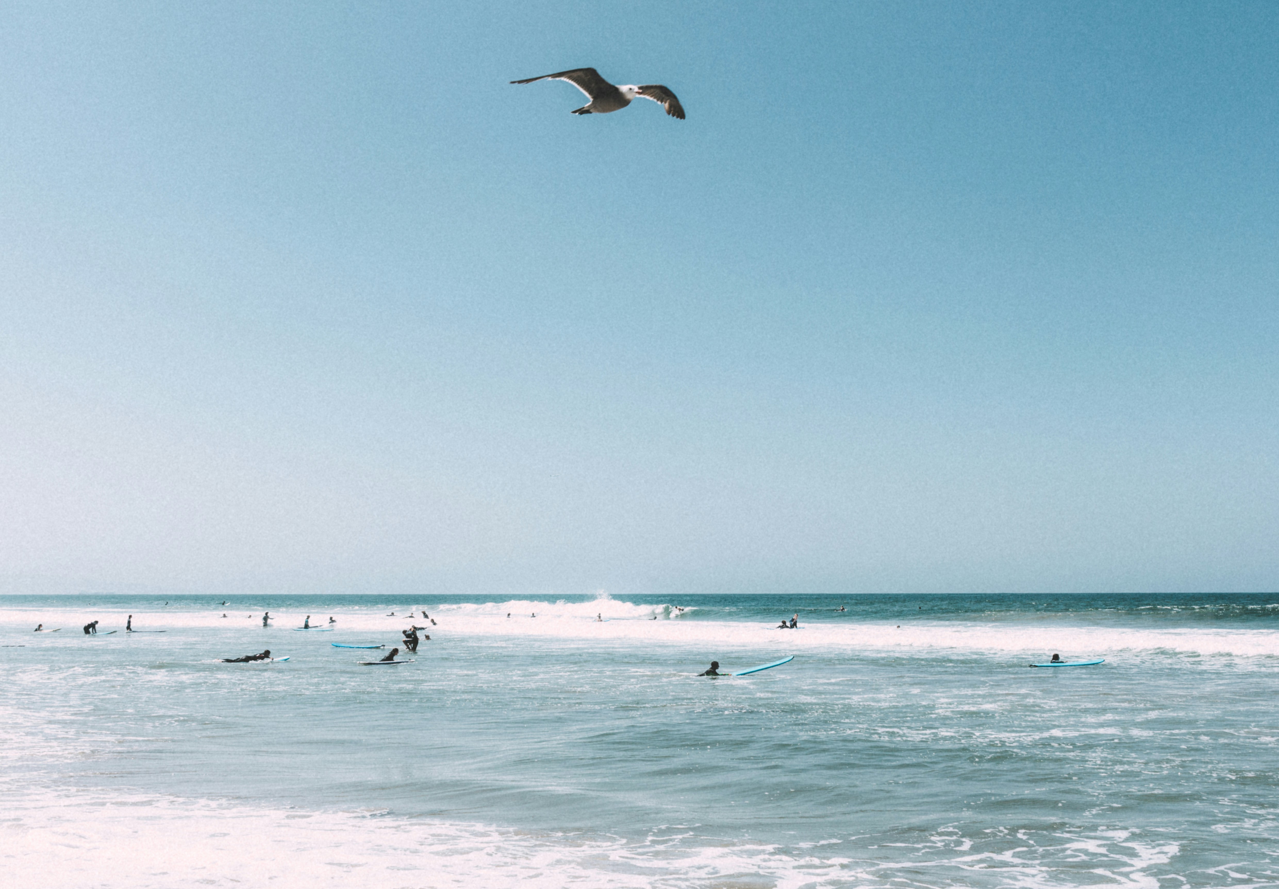 Photo by ben_esteves