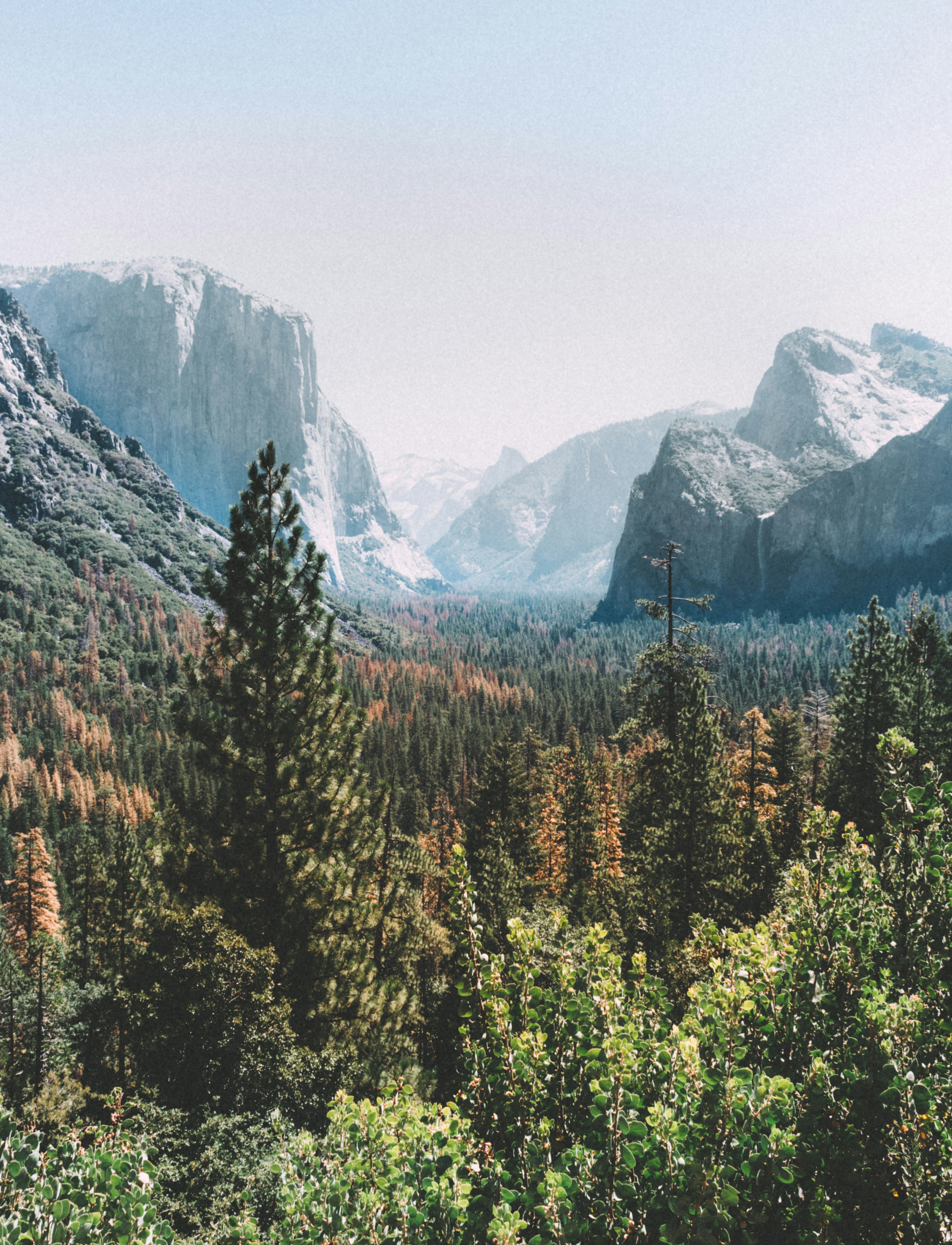 Photo by ben_esteves