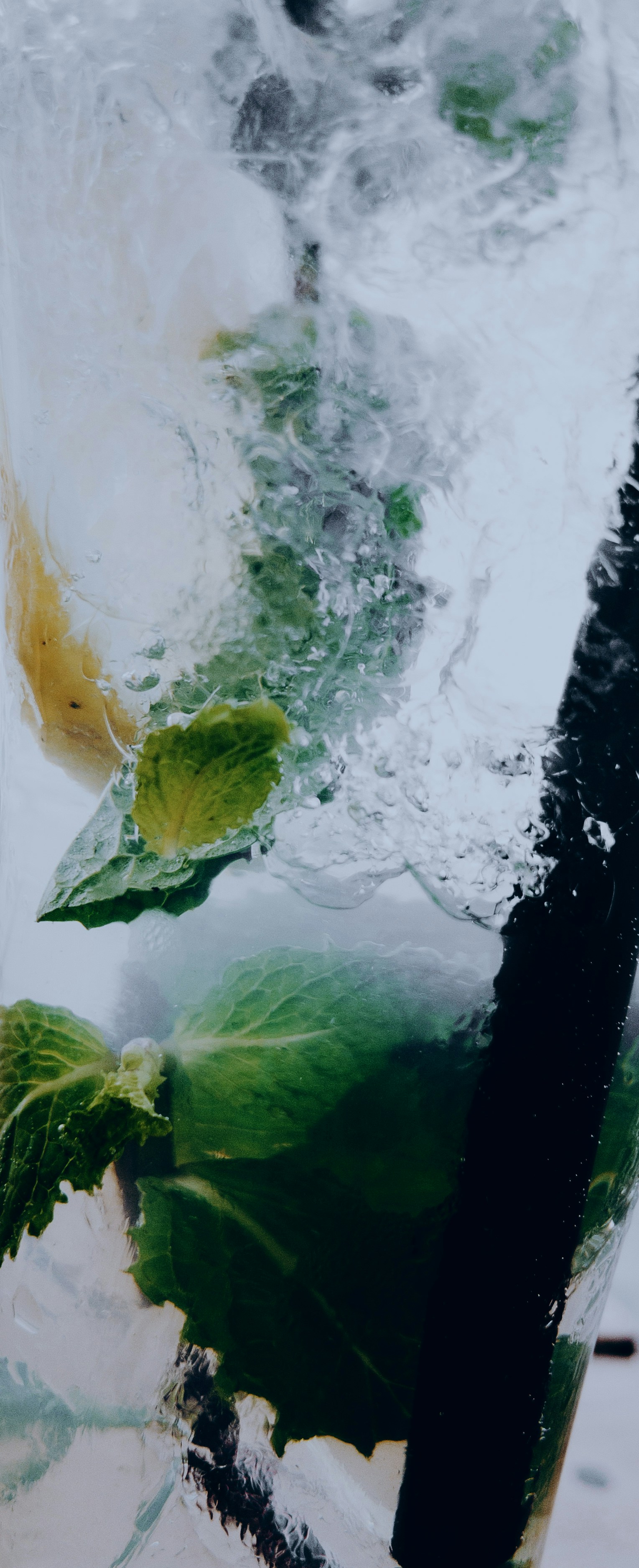 Foglie di menta e limone in una bevanda frizzante
