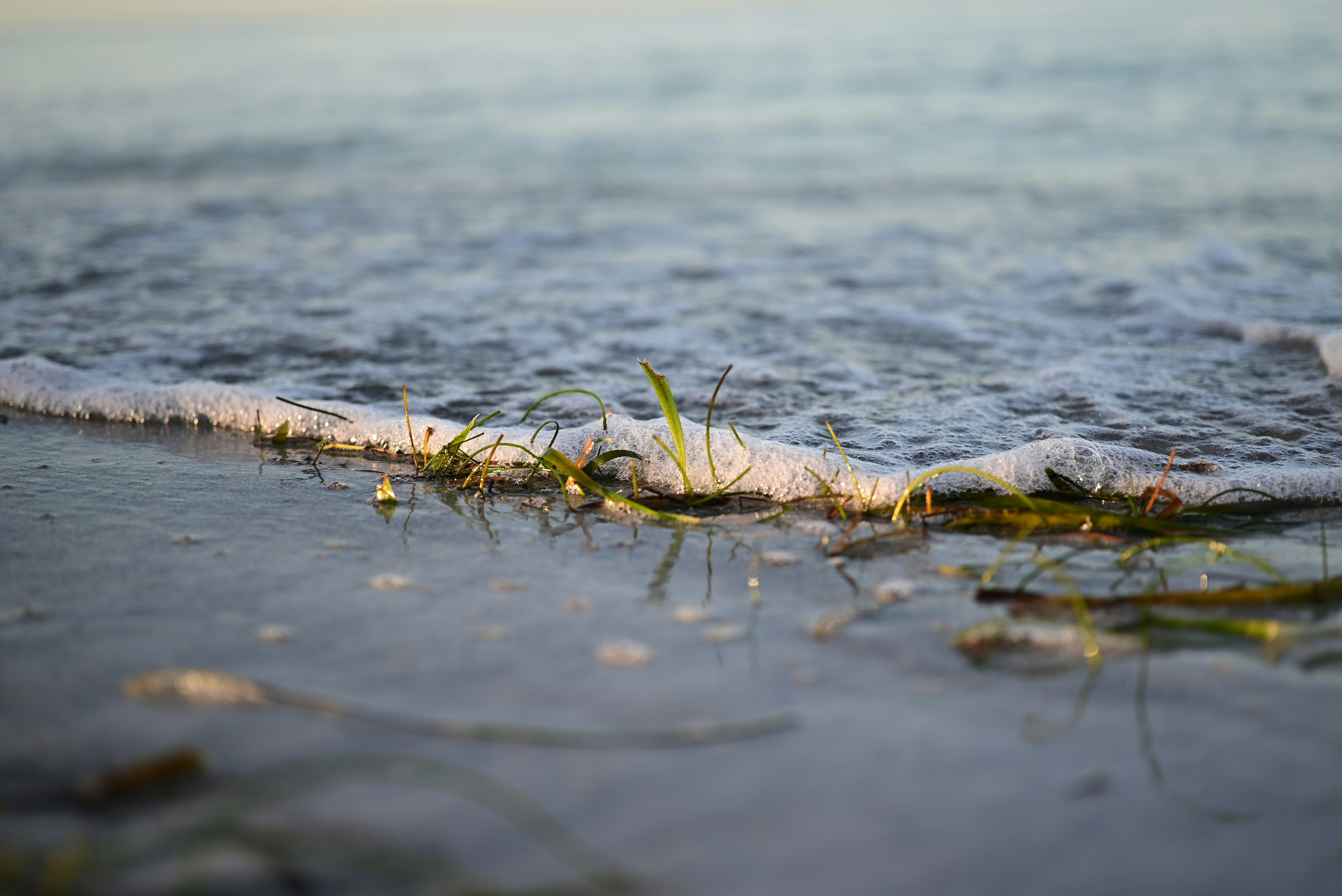 Photo by elliott_colburn_photos777