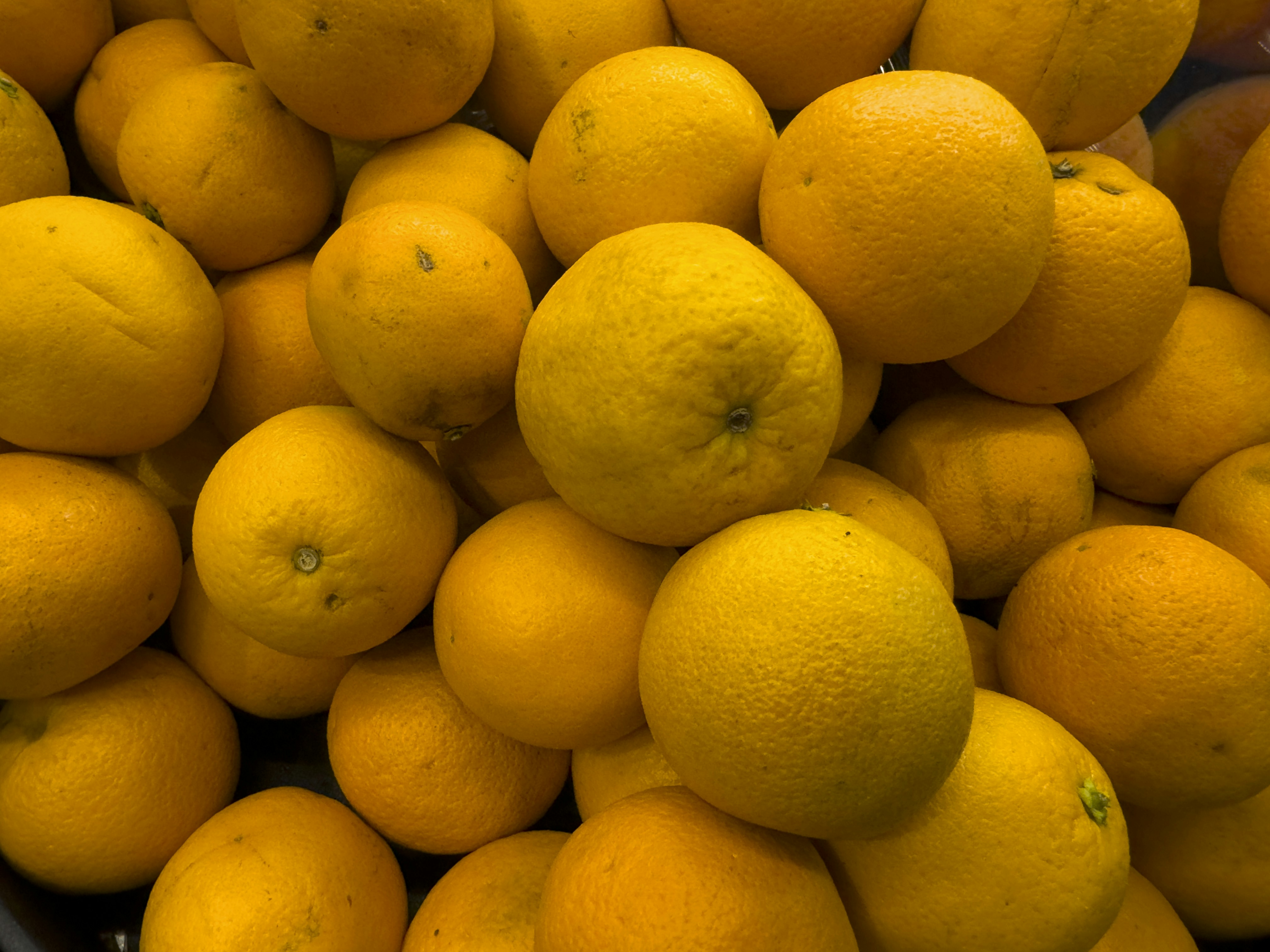 Photo by enginakyurt