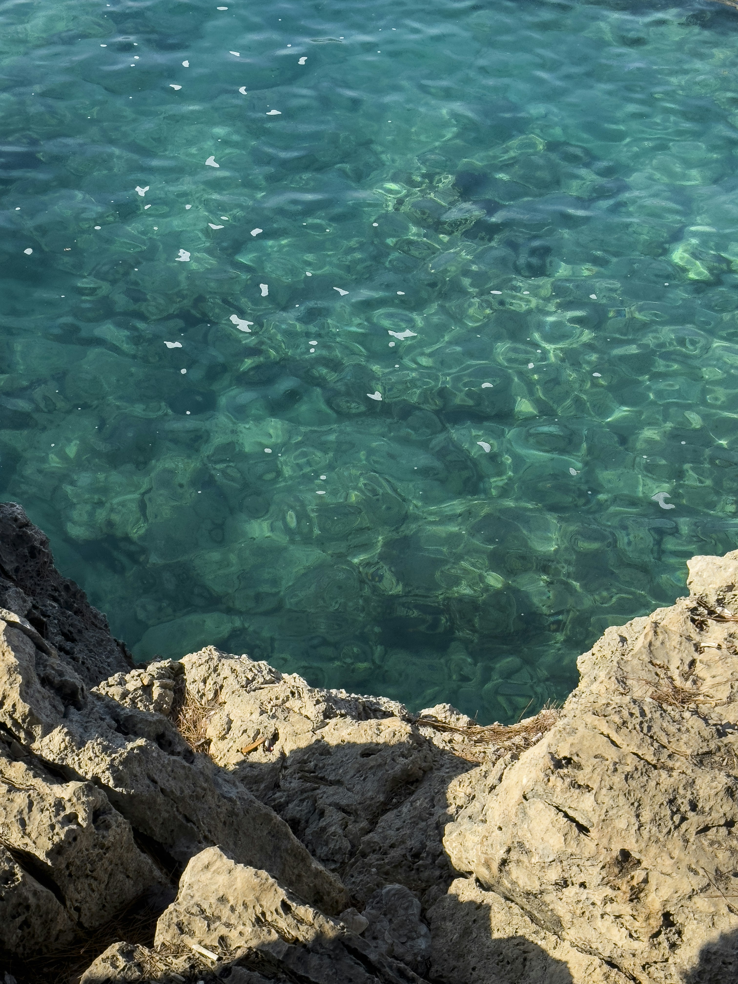 Photo by enginakyurt