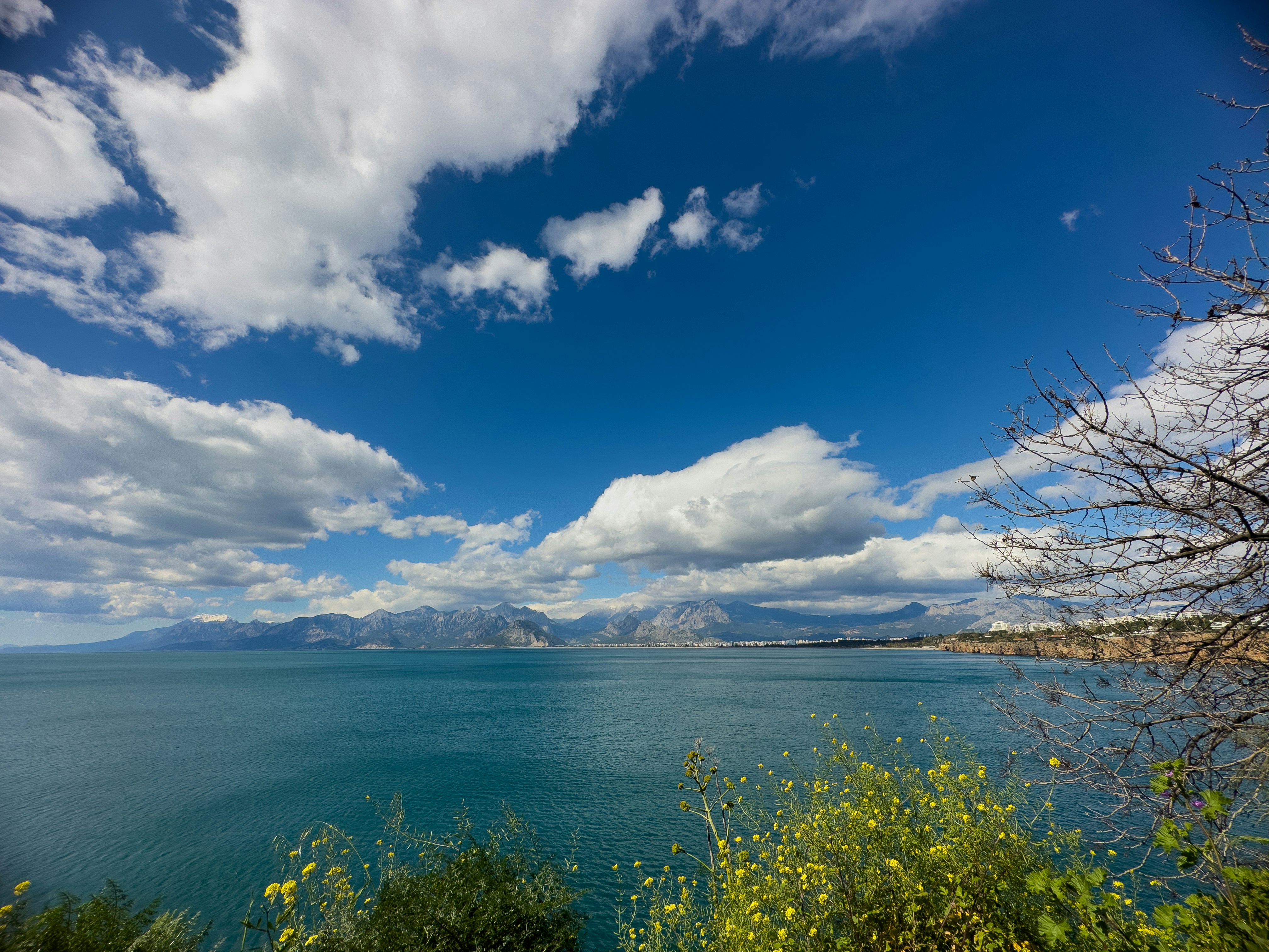 Photo by enginakyurt