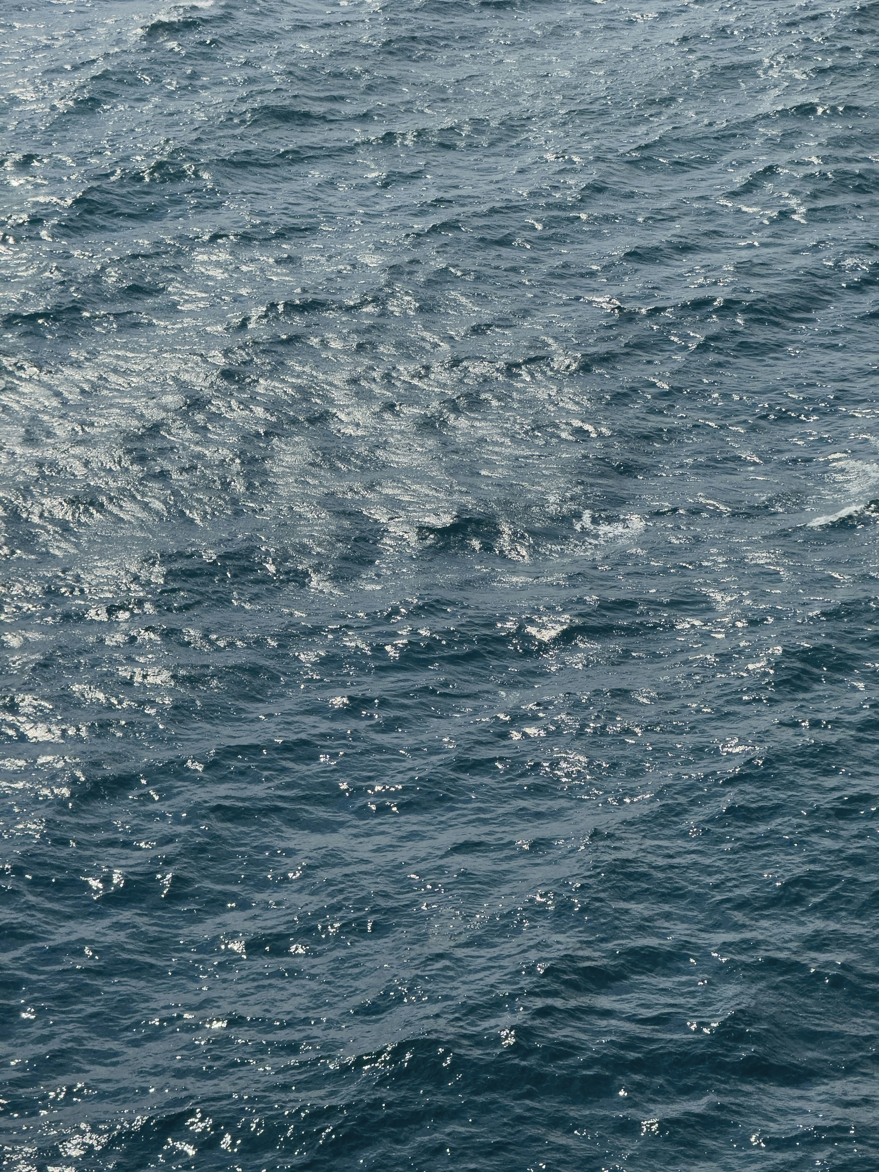 Photo by enginakyurt