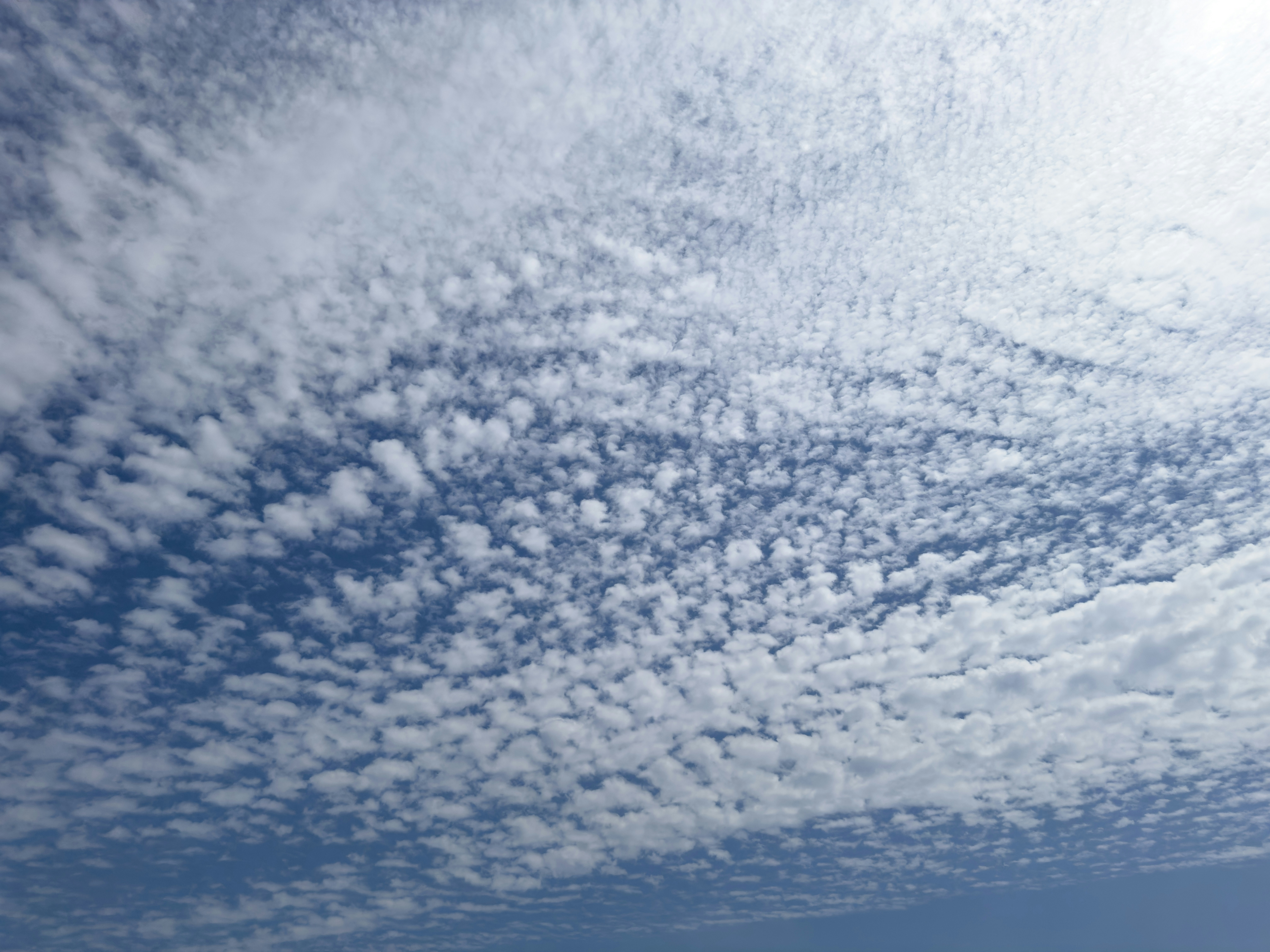 Photo by enginakyurt