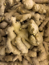 Pile of fresh ginger roots close up