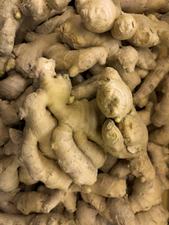 Pile of fresh ginger roots close up