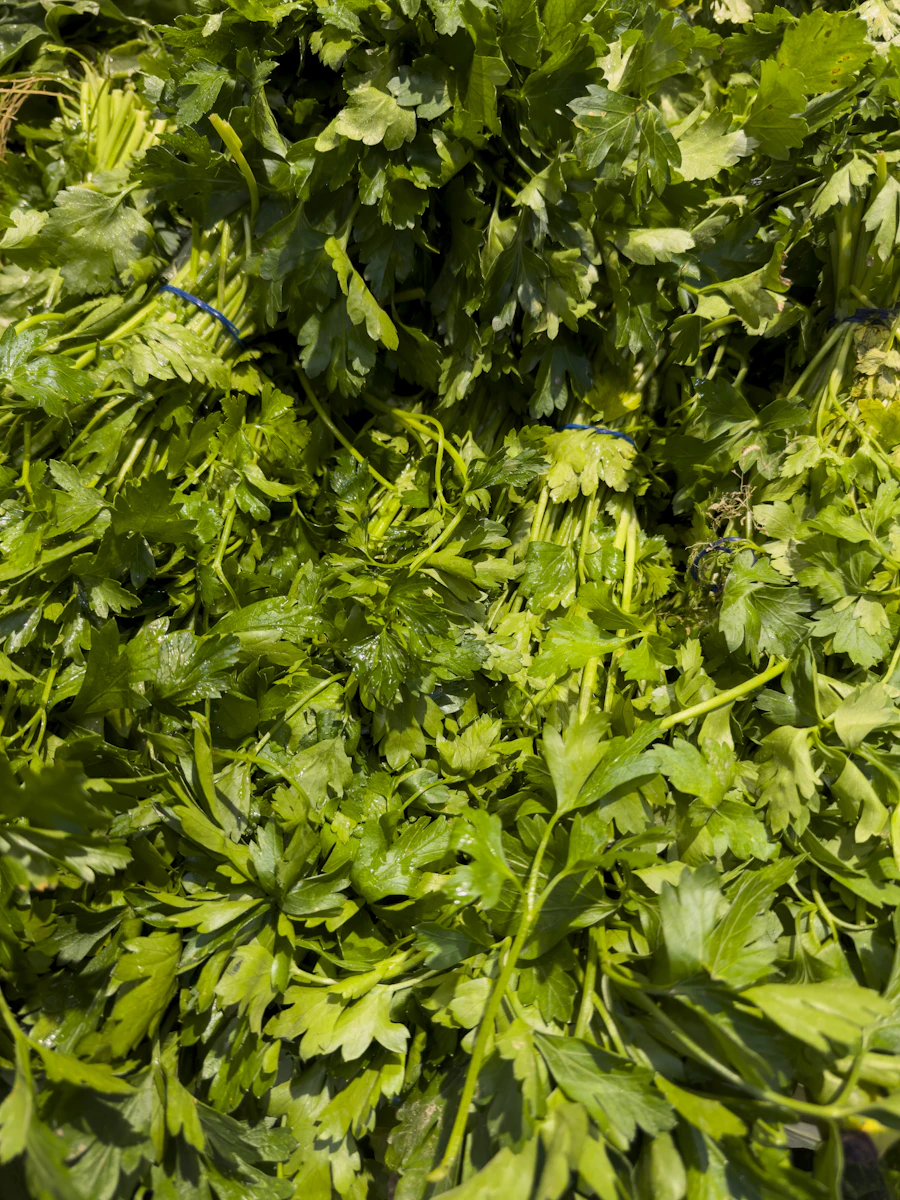 Herbs