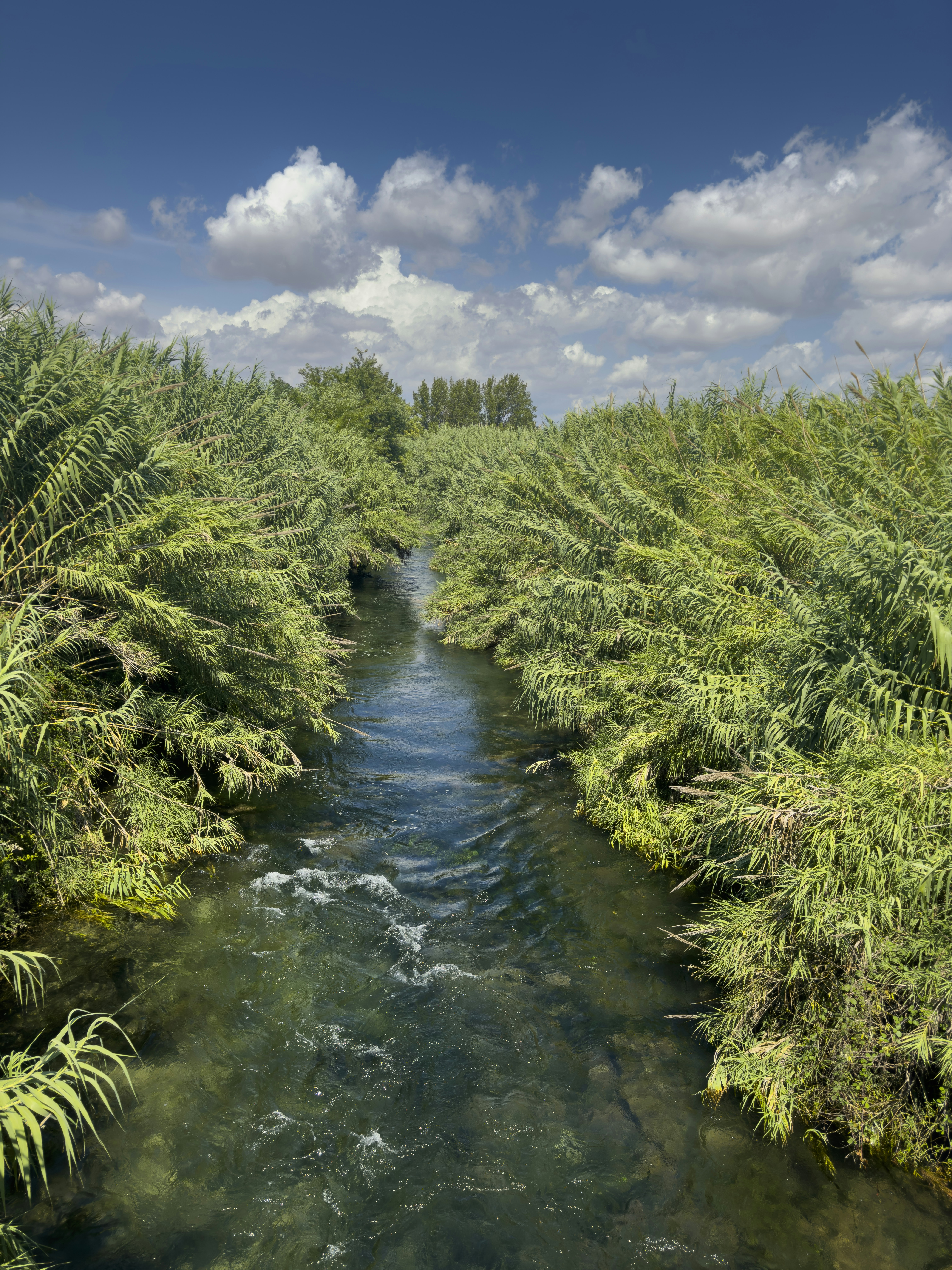 Photo by enginakyurt