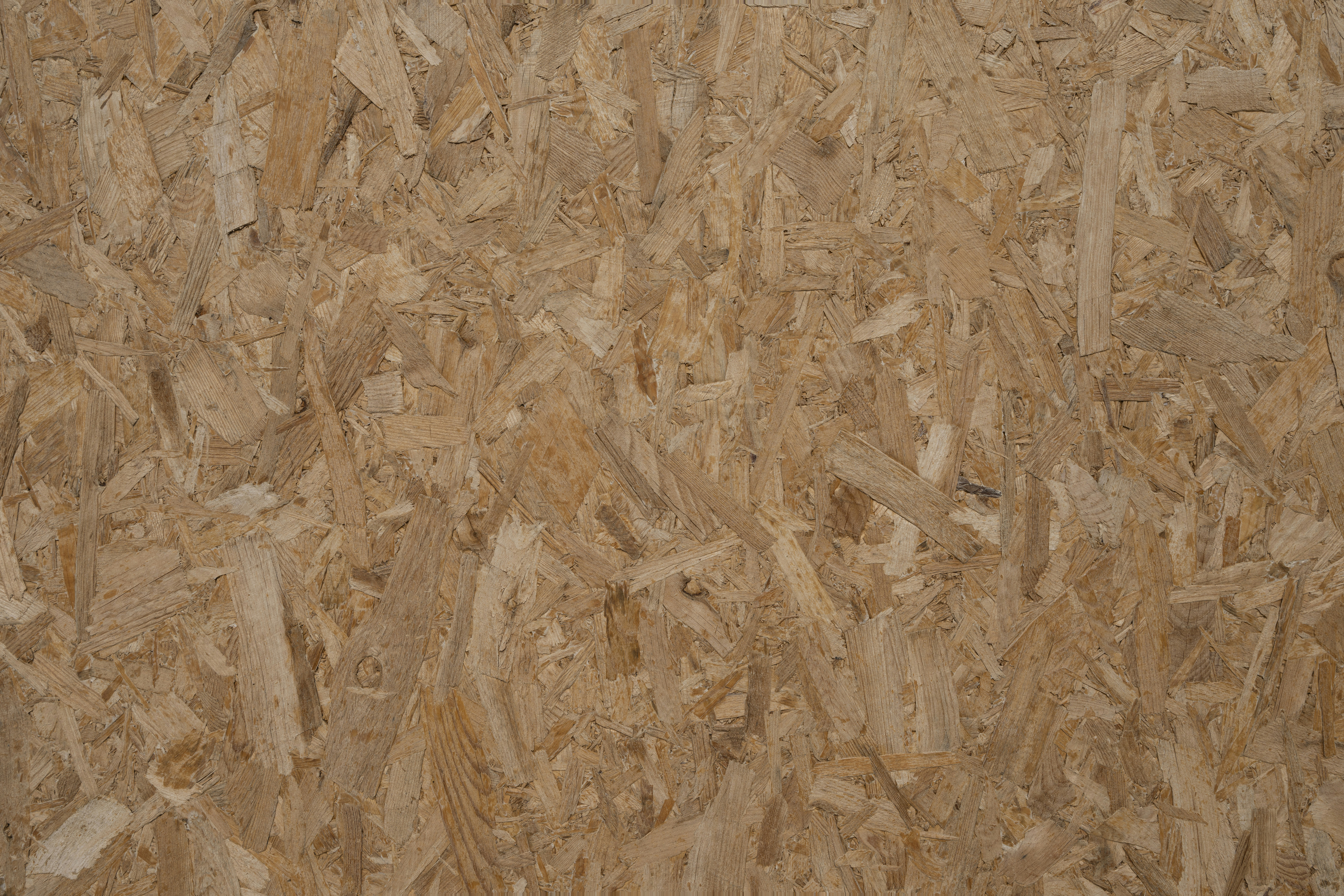 Photo by enginakyurt