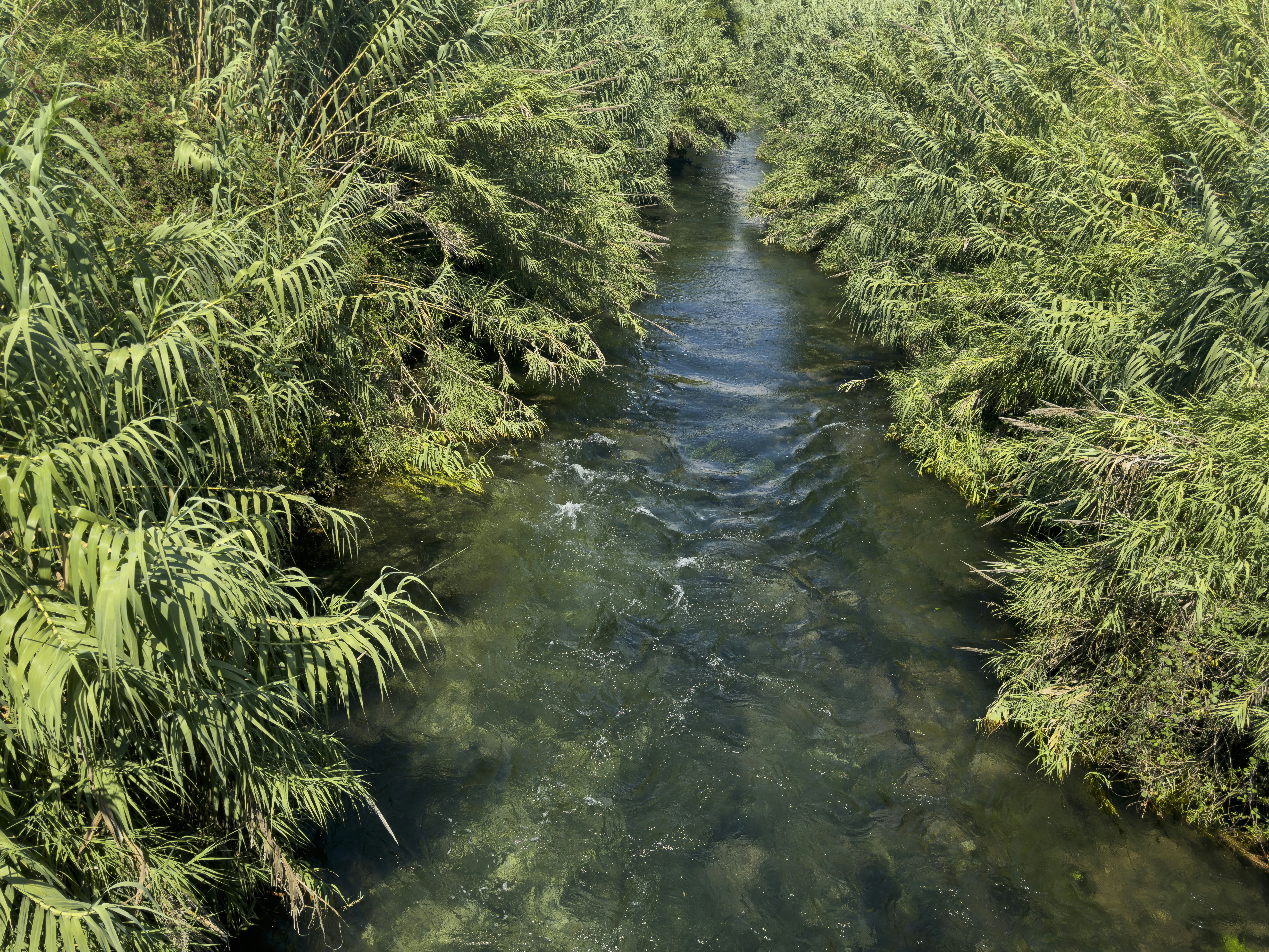 Photo by enginakyurt