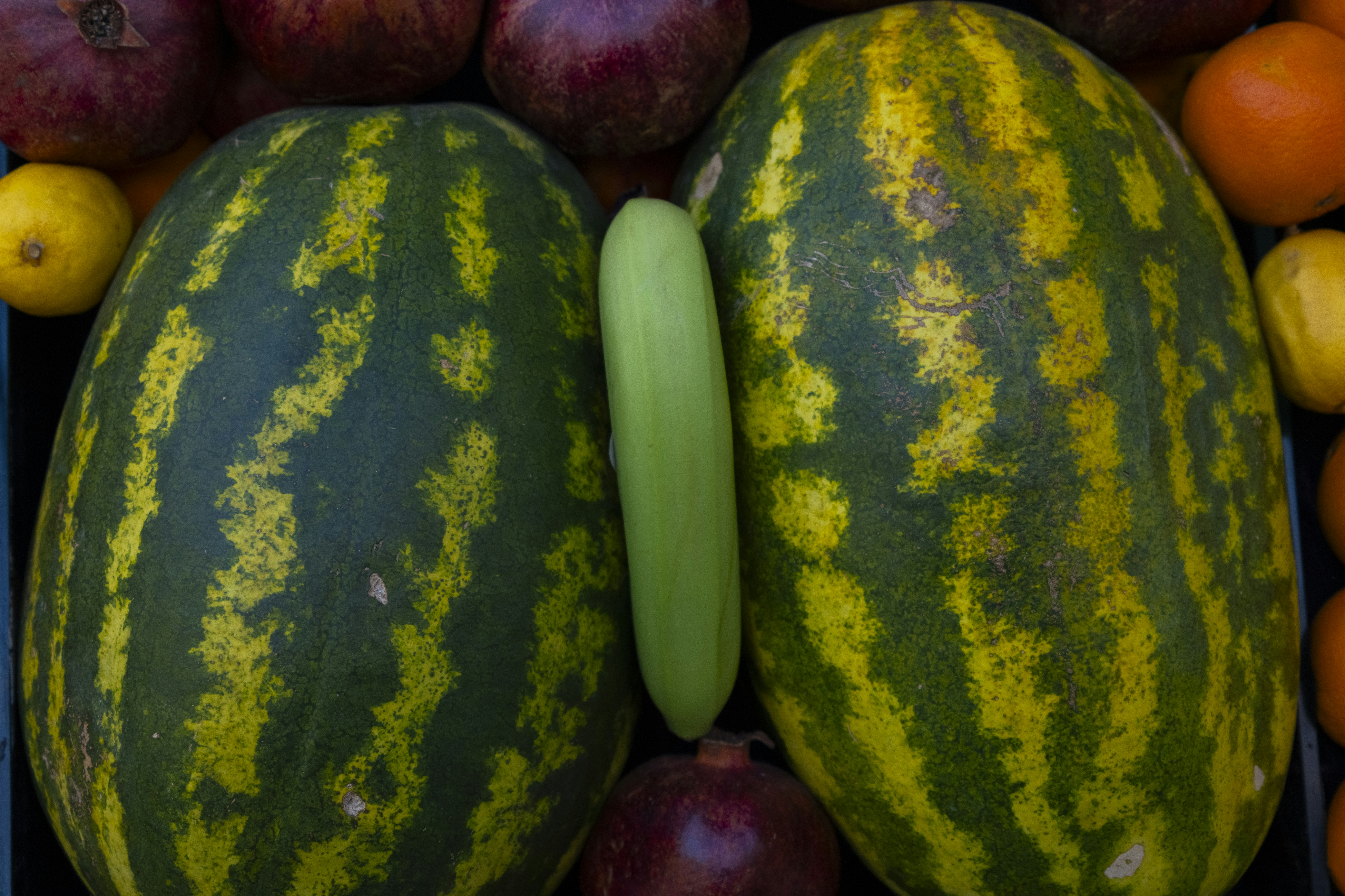 Photo by enginakyurt