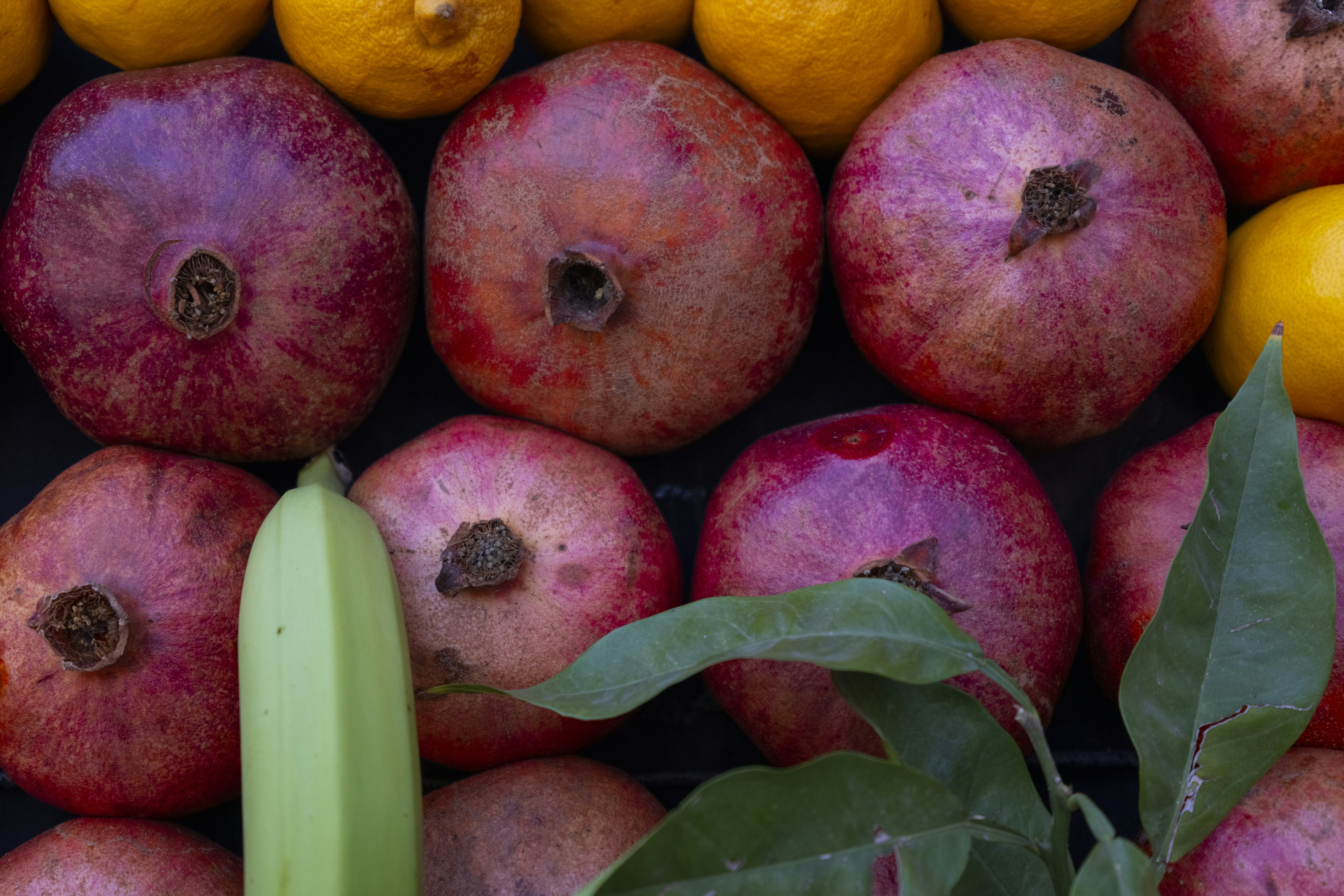 Photo by enginakyurt