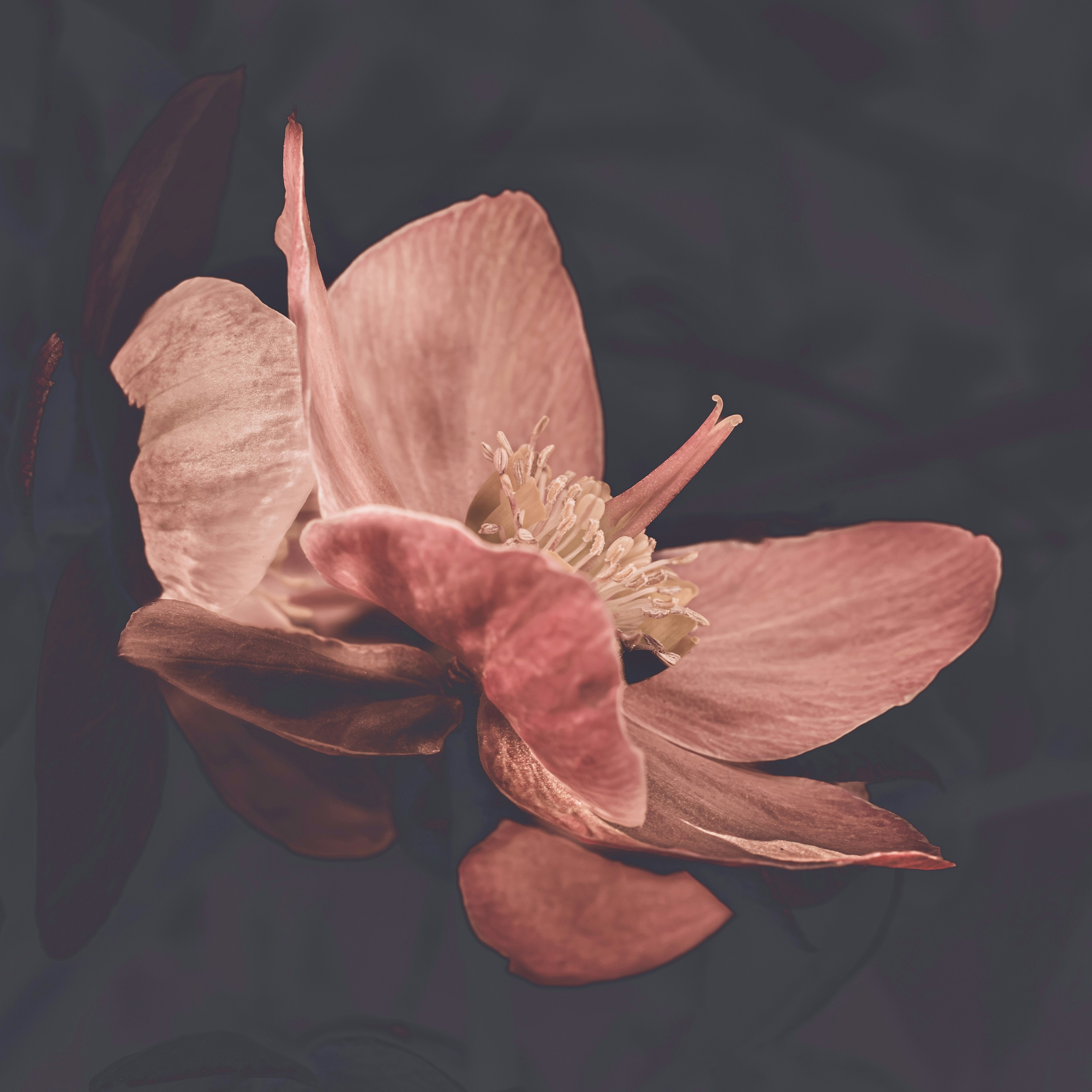 Photo by sschusterphotoart