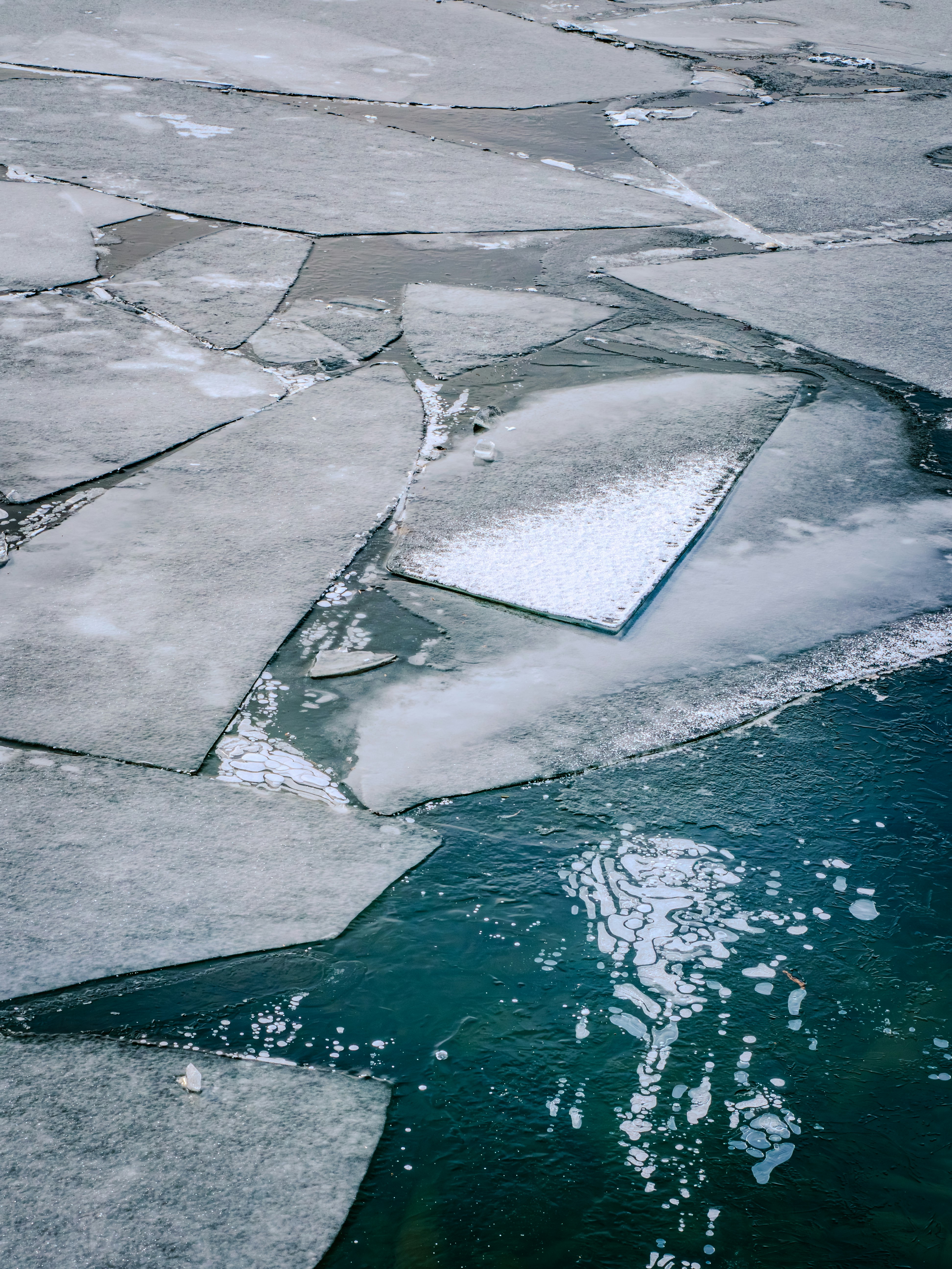 Photo by sschusterphotoart