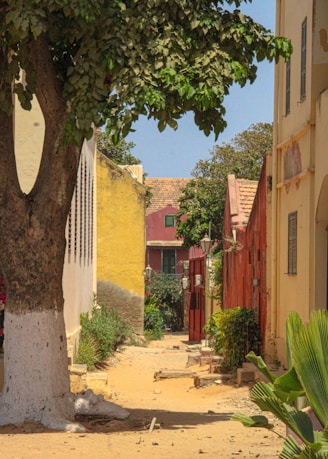 Narrow street lined with colorful buildings and trees.