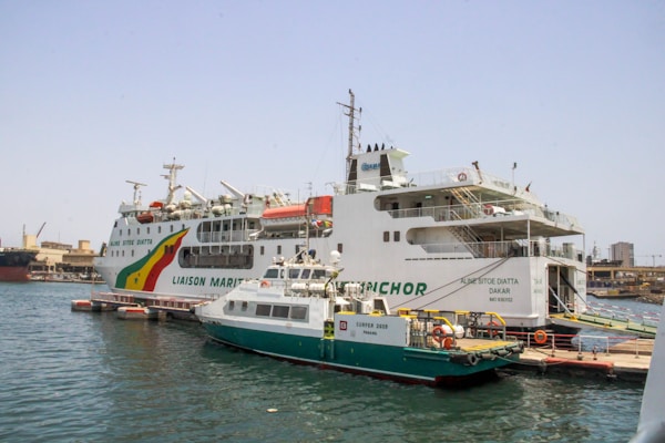 Cruise Port Transfers party bus and limo rental