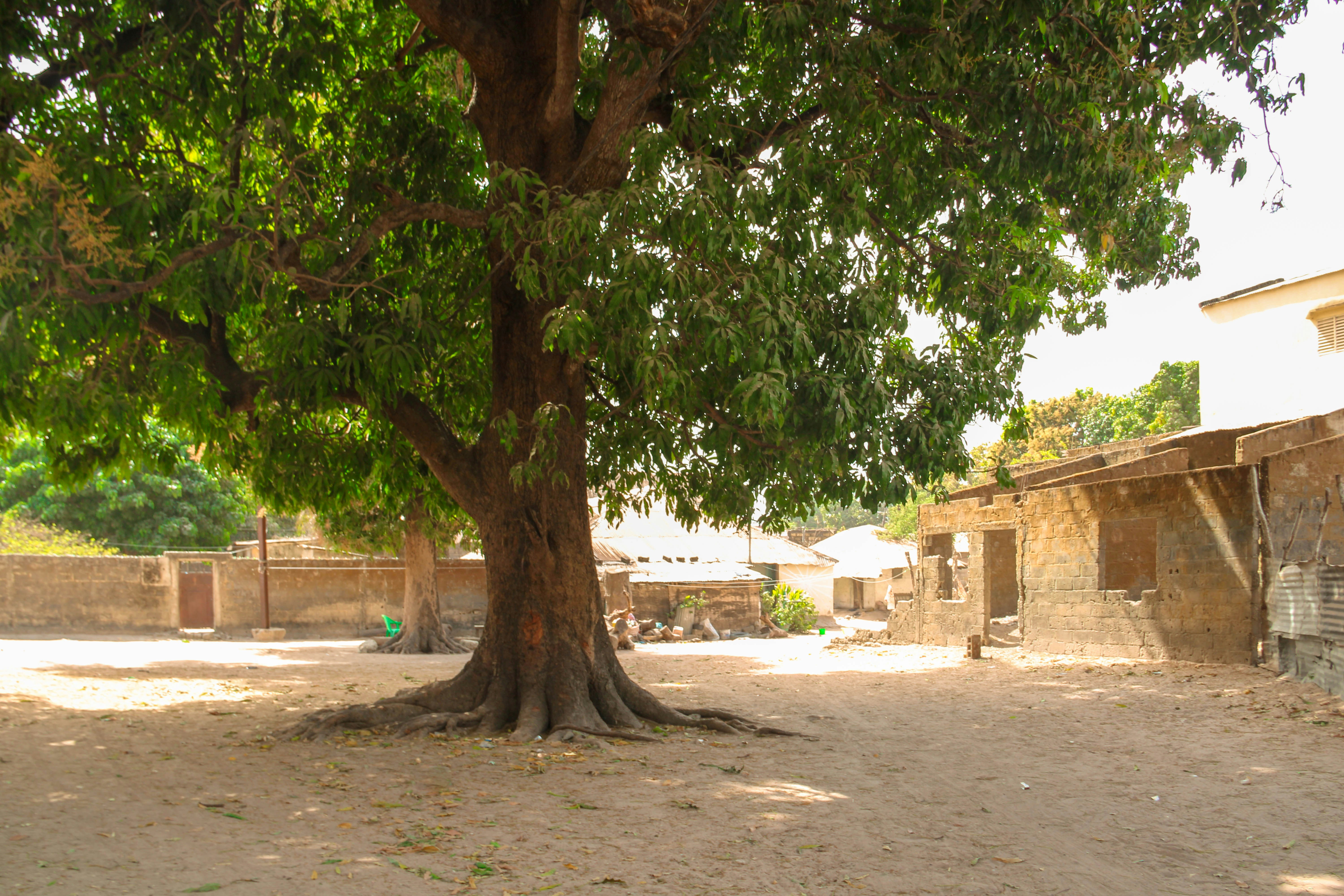 Ziguinchor – Transportation & Getting Around