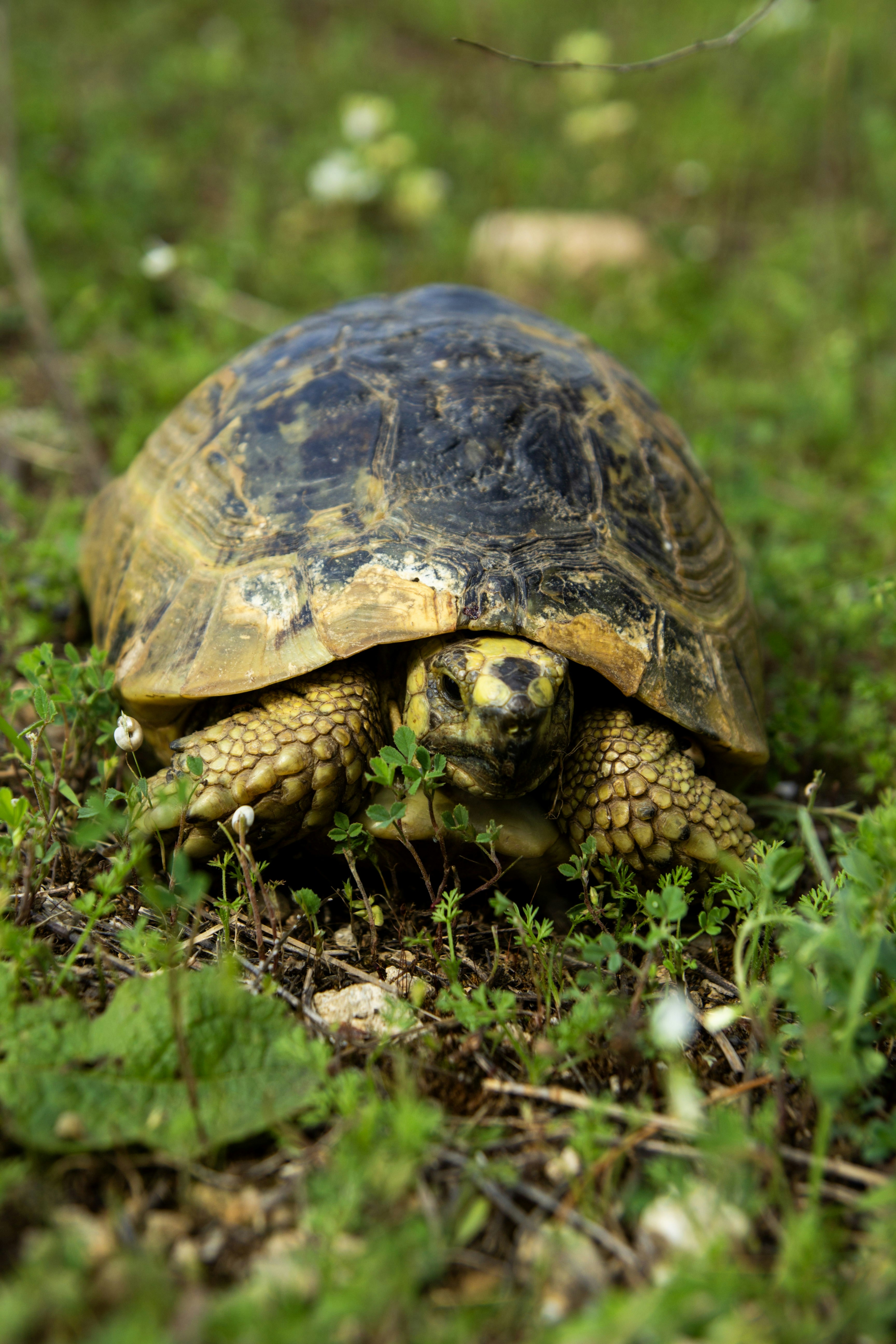 Photo by kadirsahinby