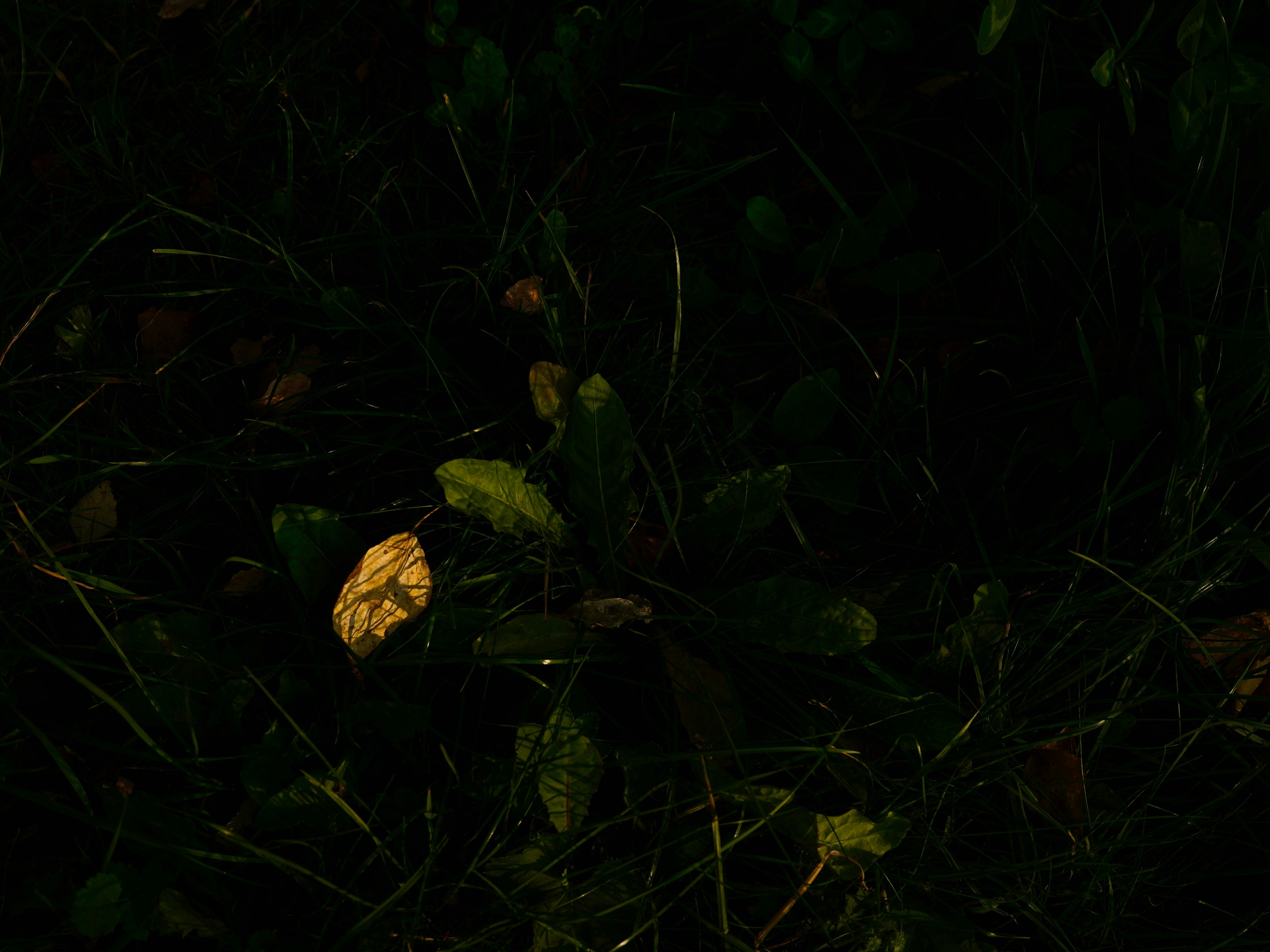 Photo by anita_rocheva