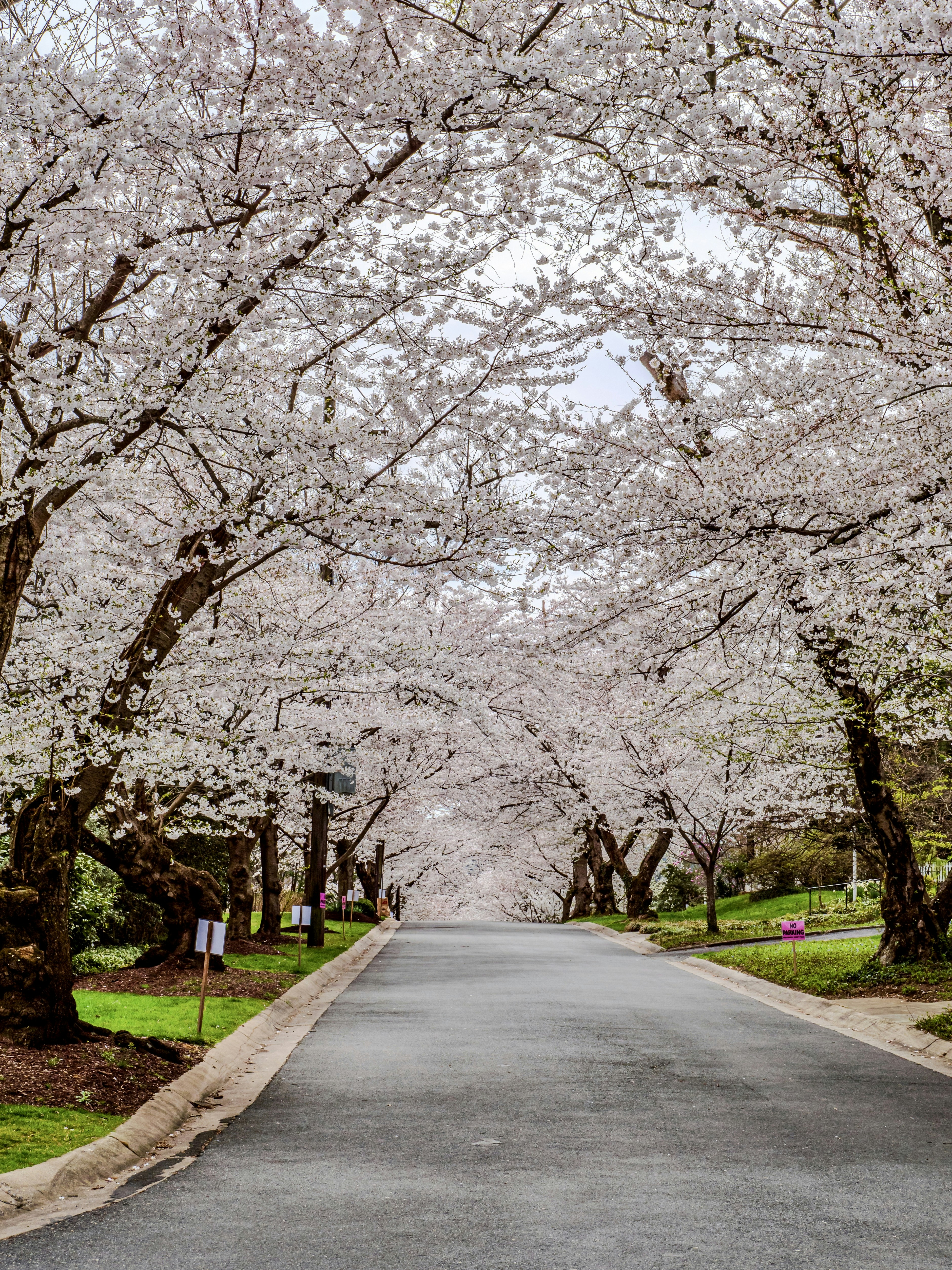 Photo by sschusterphotoart