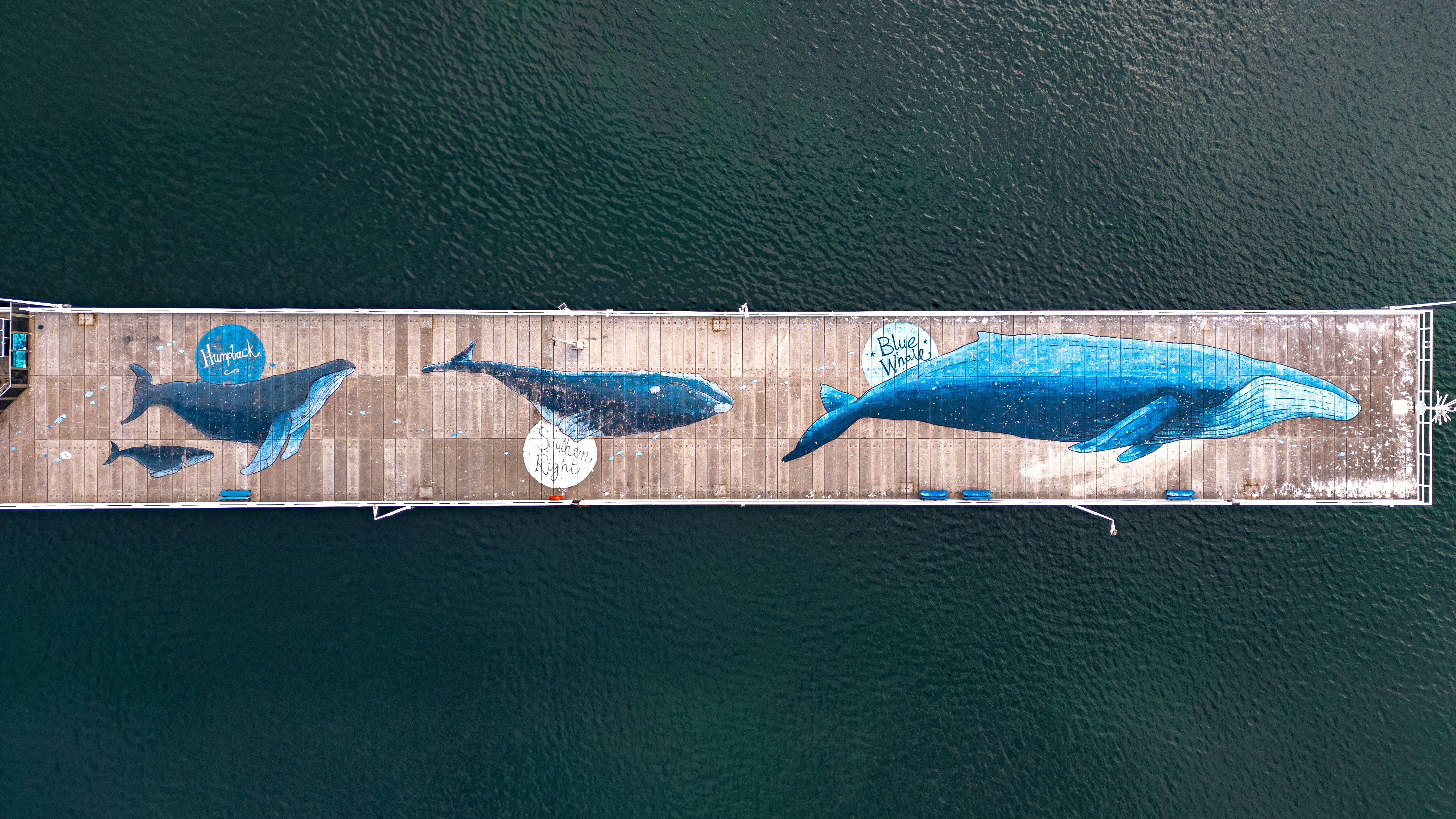 Whale mural on a pier above dark water