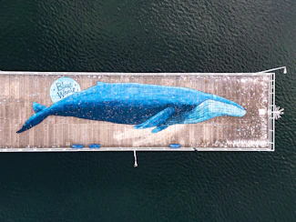Whale mural painted on a wooden pier over water