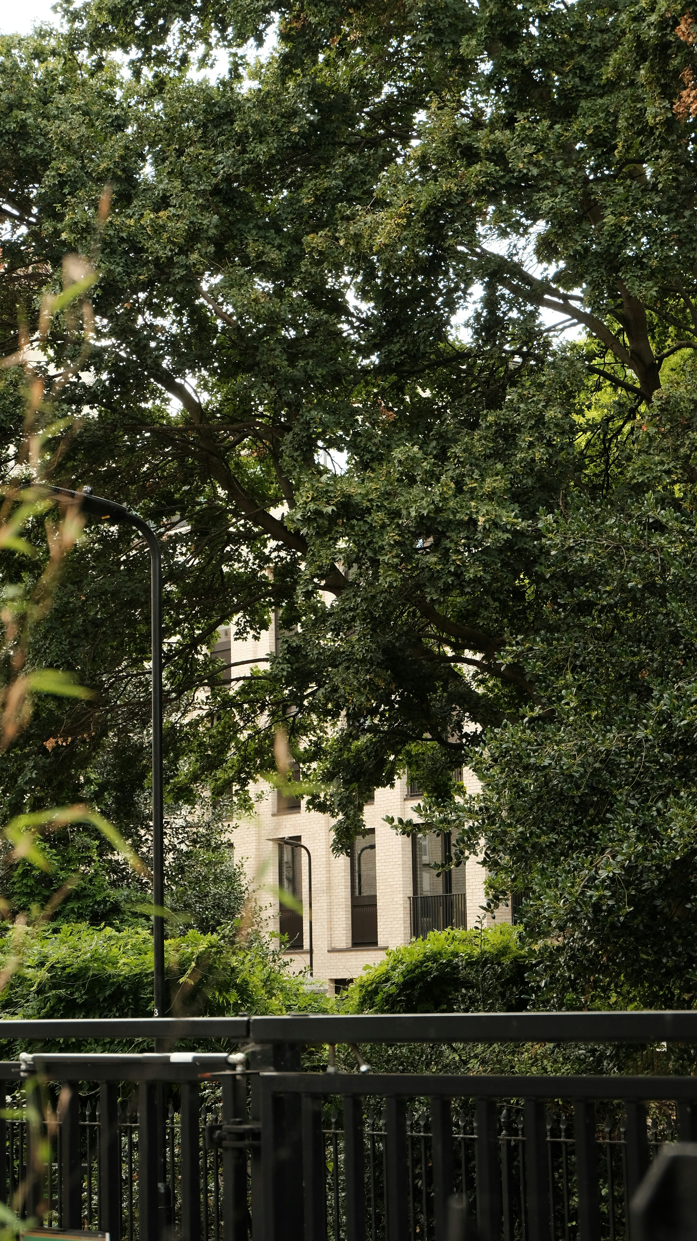 Photo by harrisunsdz