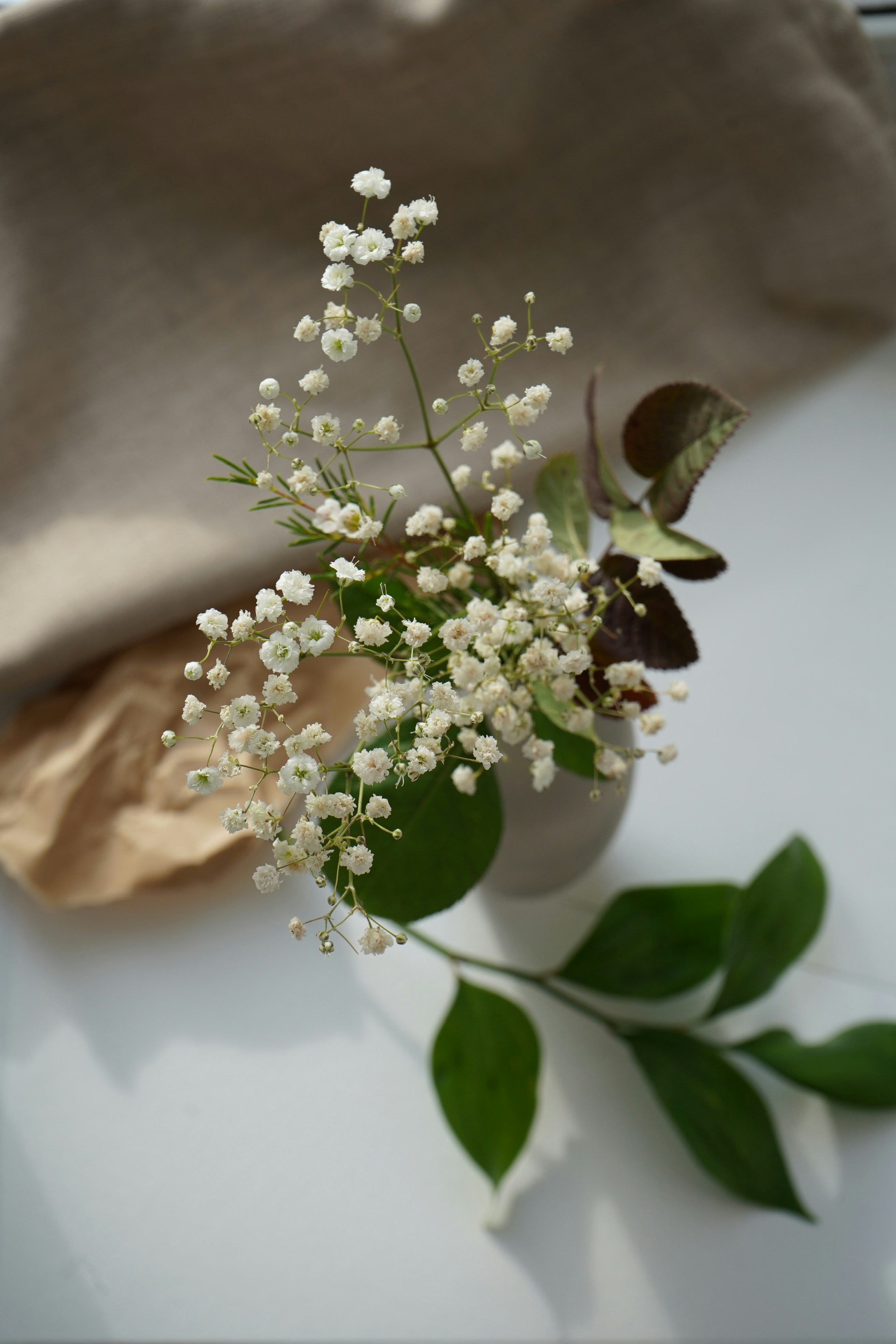 Photo by anita_rocheva